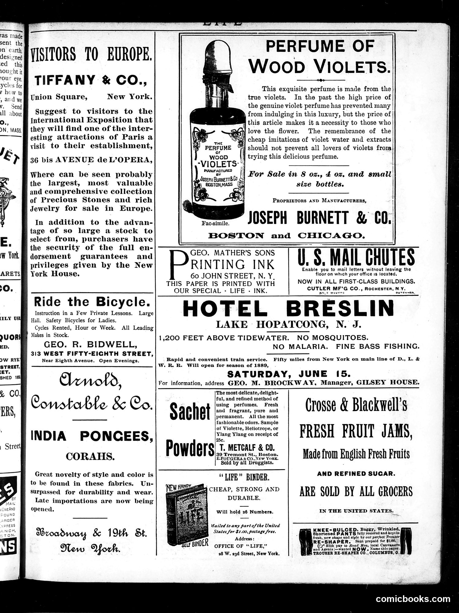 Life — May 16, 1889 — page 17 of 18