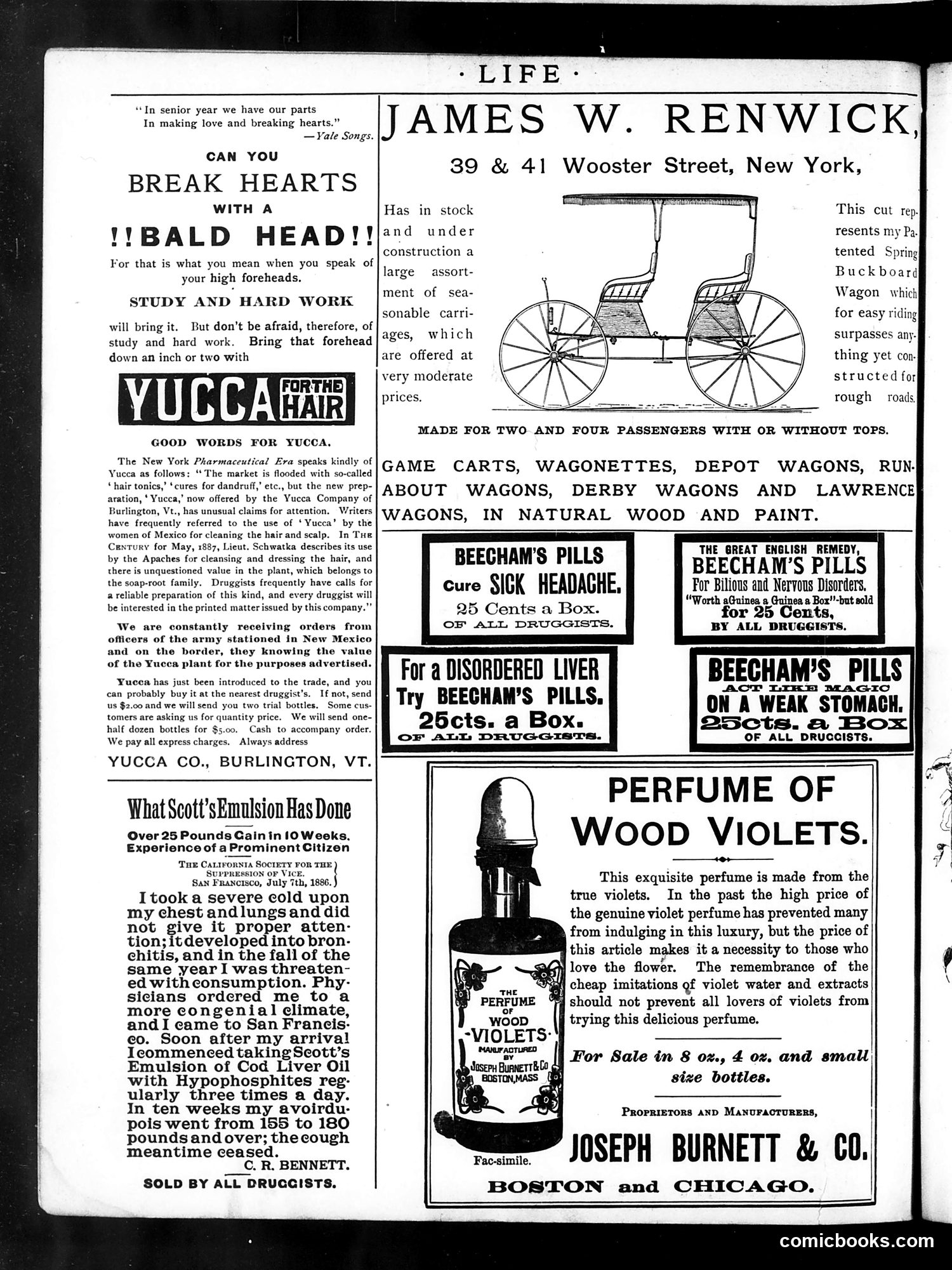 Life — May 23, 1889 — page 2 of 20