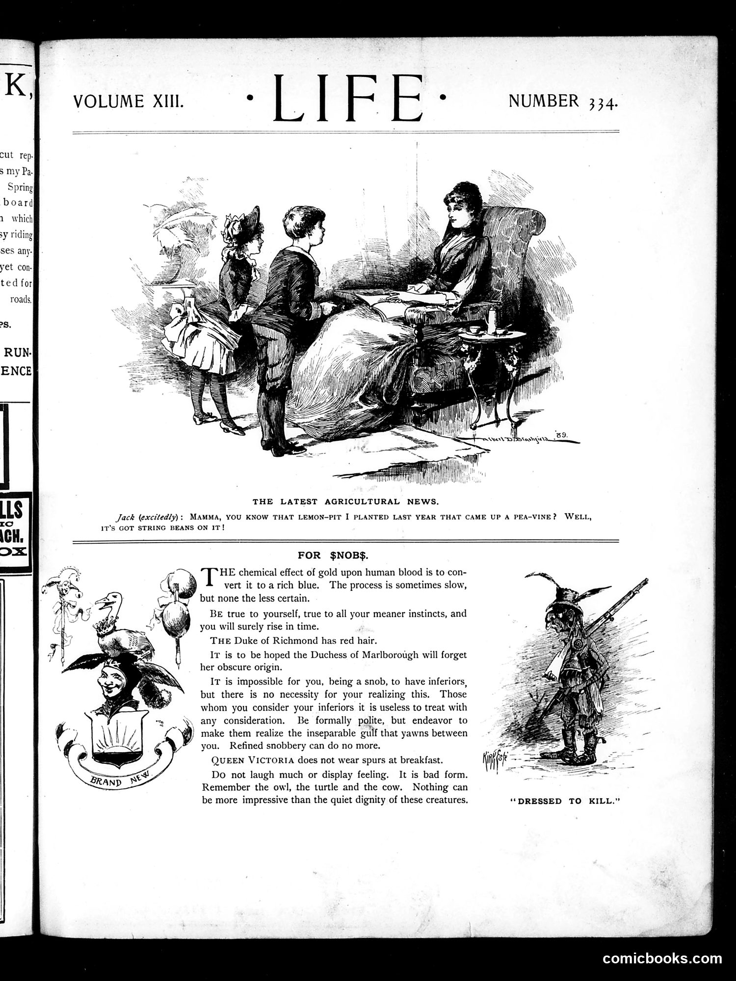 Life — May 23, 1889 — page 3 of 20