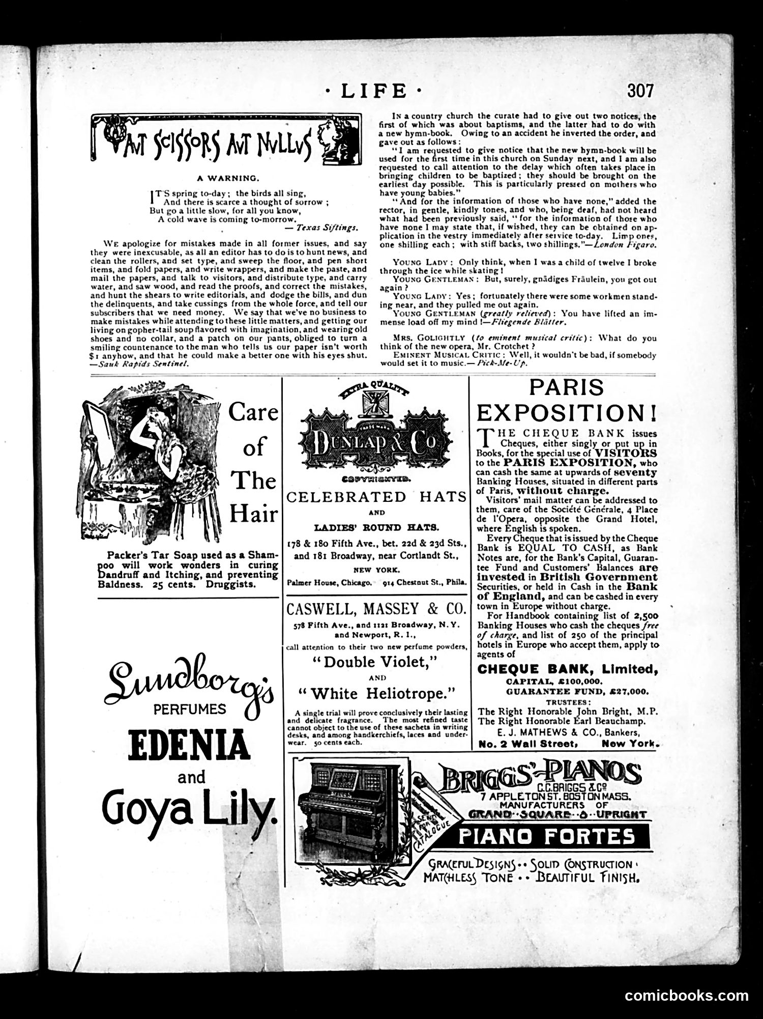 Life — May 23, 1889 — page 15 of 20