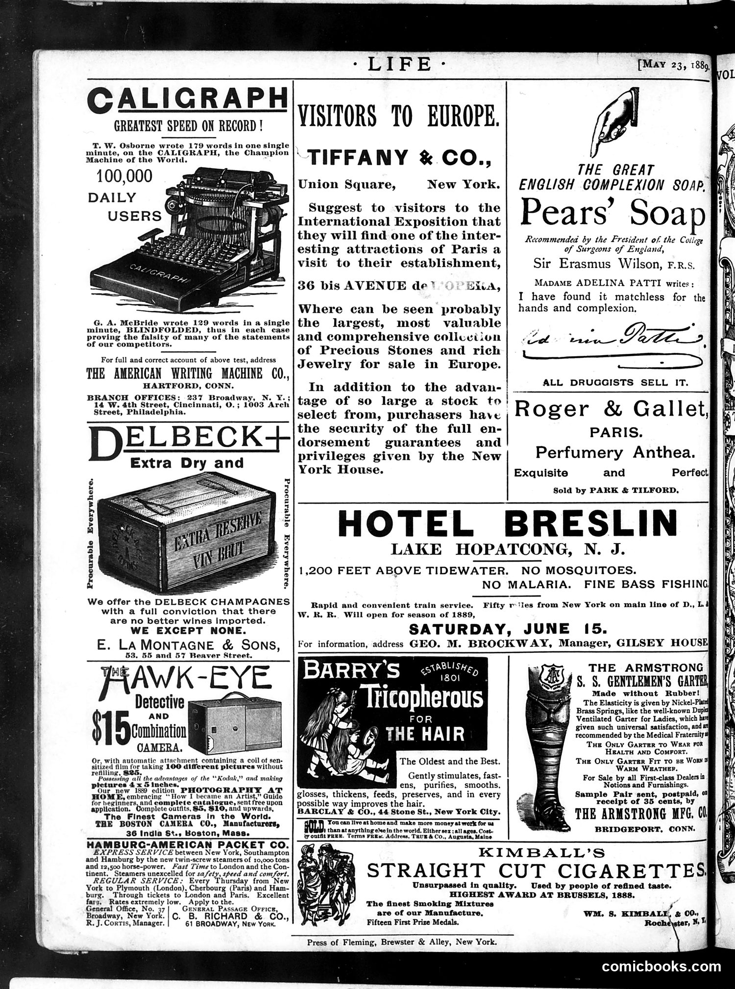 Life — May 23, 1889 — page 20 of 20