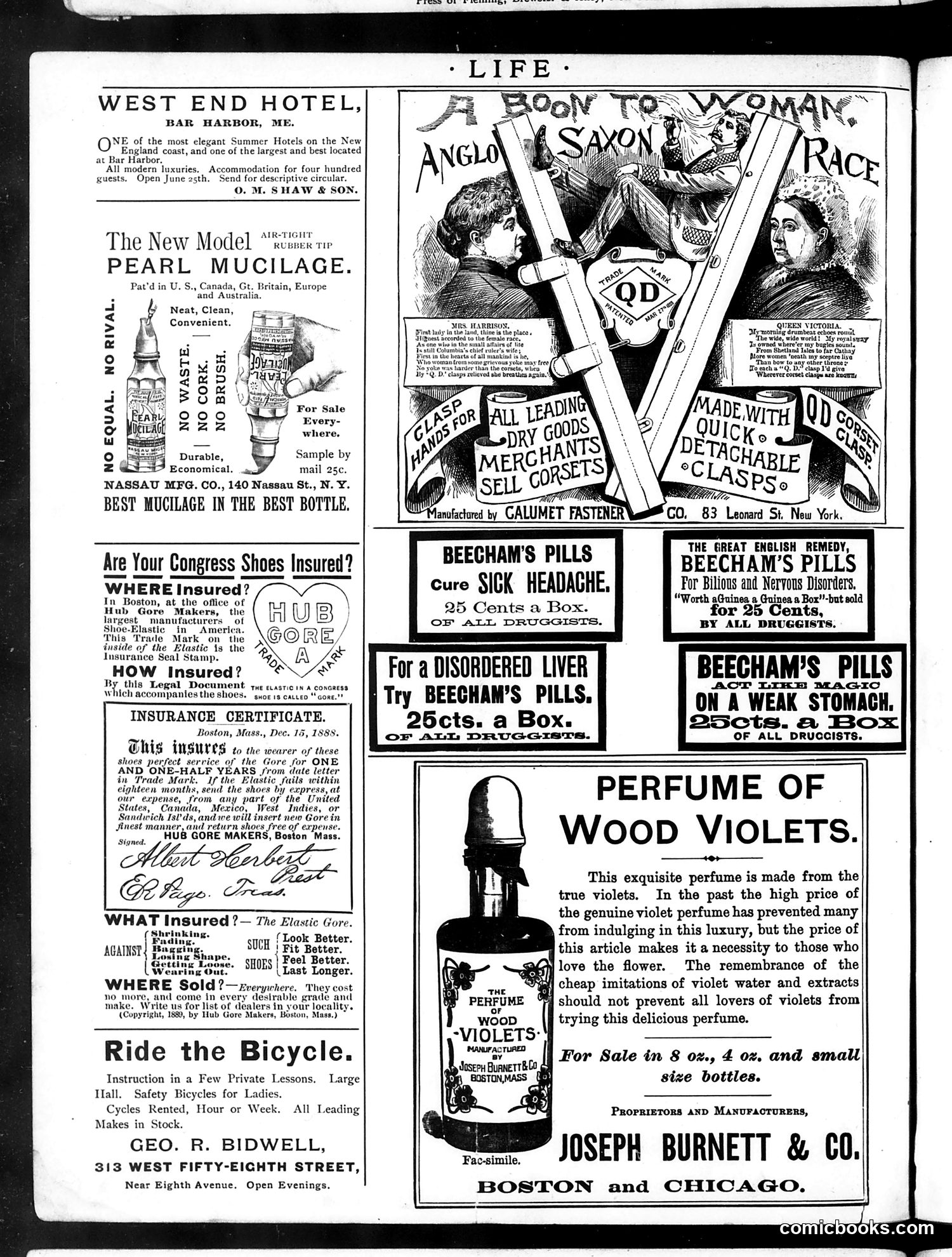 Life — May 30, 1889 — page 2 of 20
