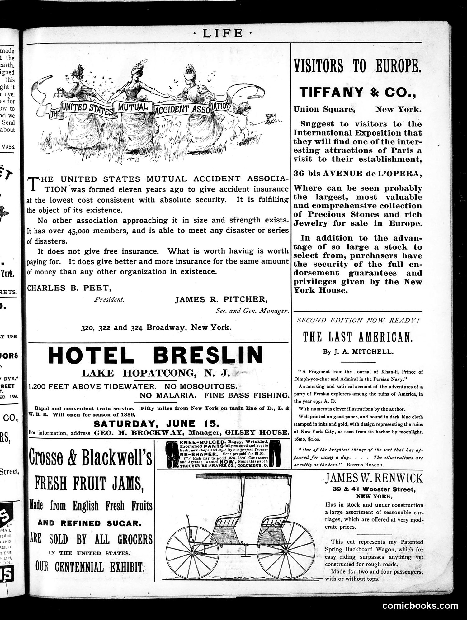 Life — May 30, 1889 — page 19 of 20