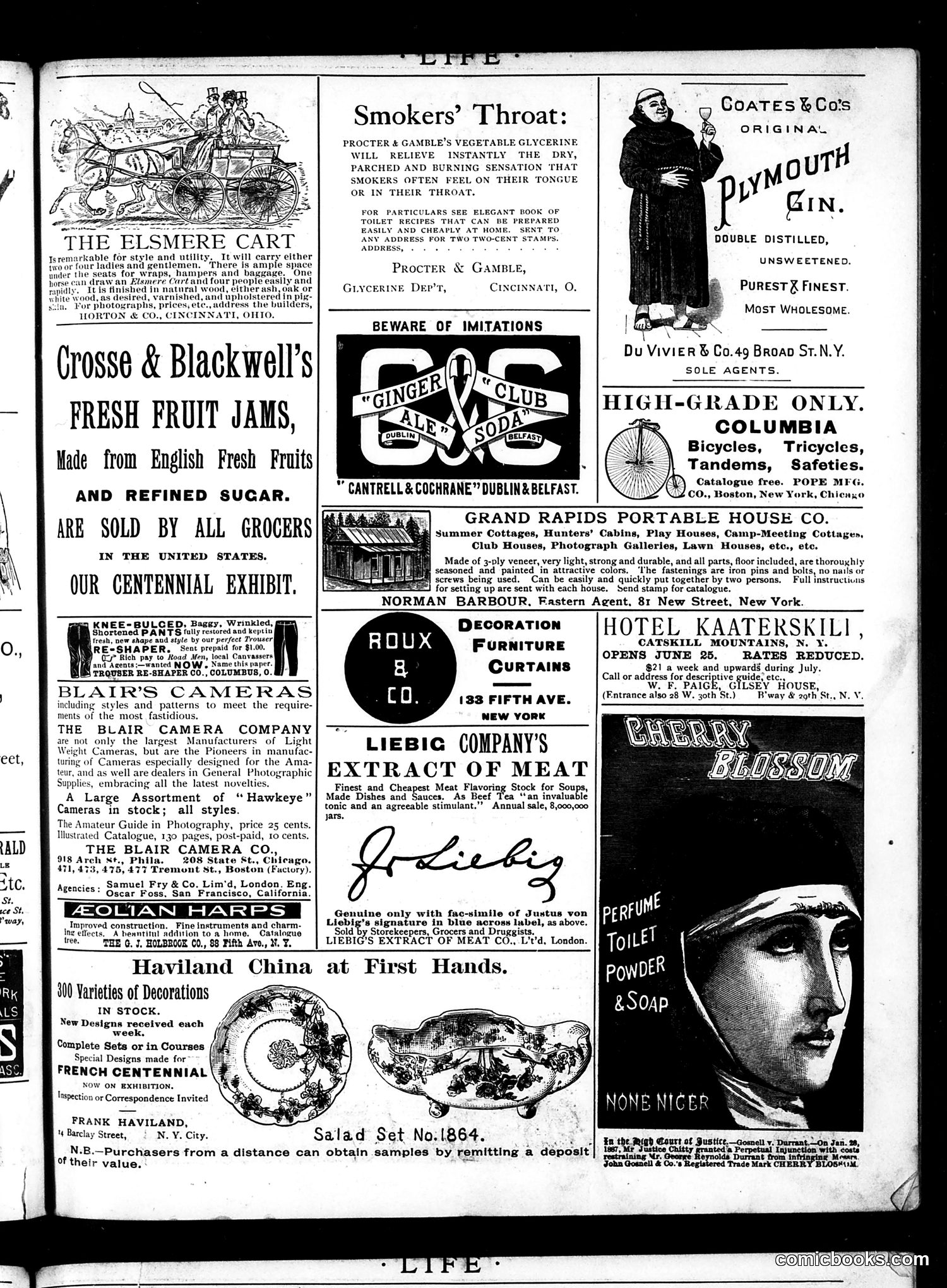 Life — June 6, 1889 — page 17 of 20