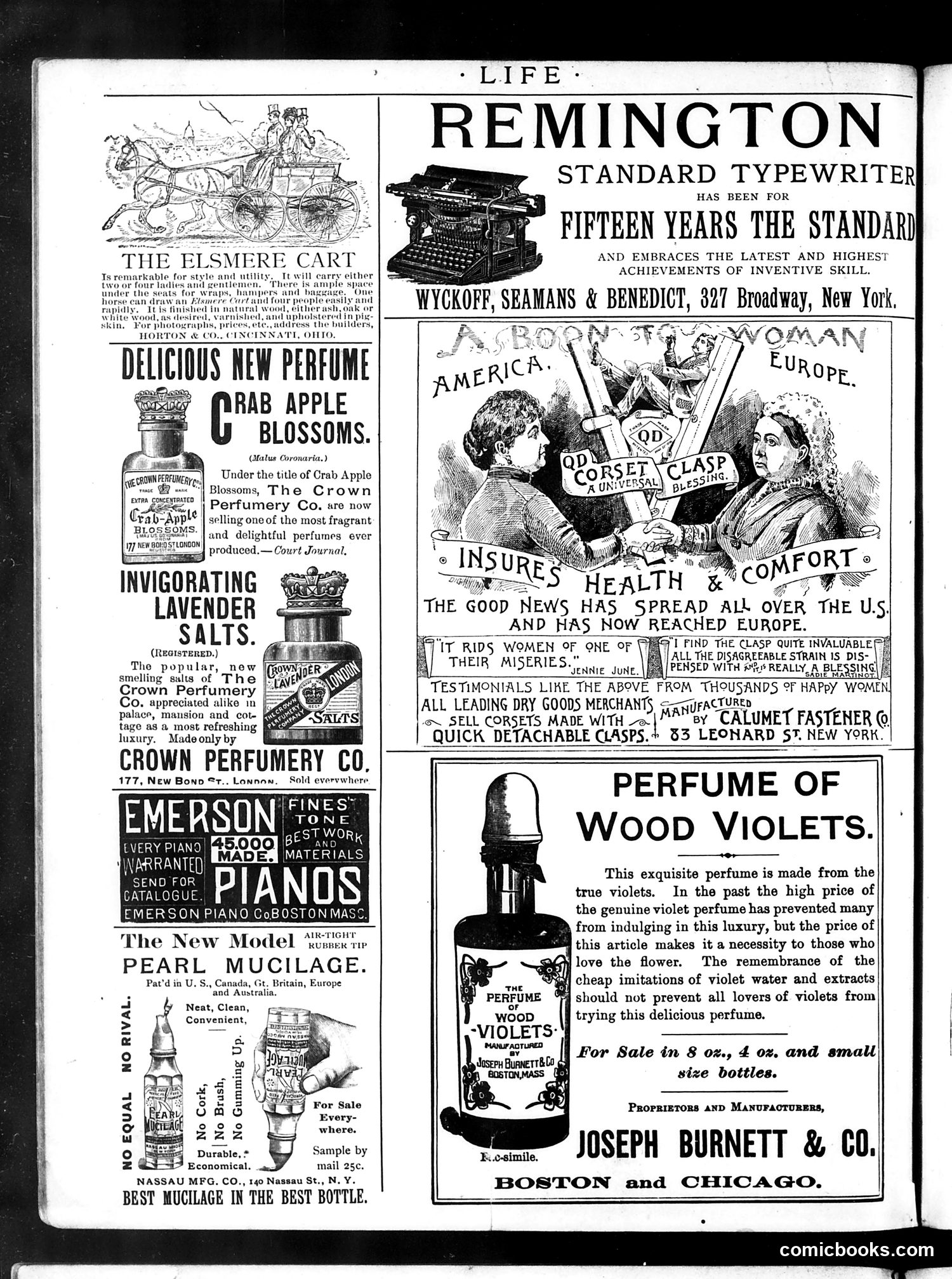 Life — June 13, 1889 — page 2 of 16