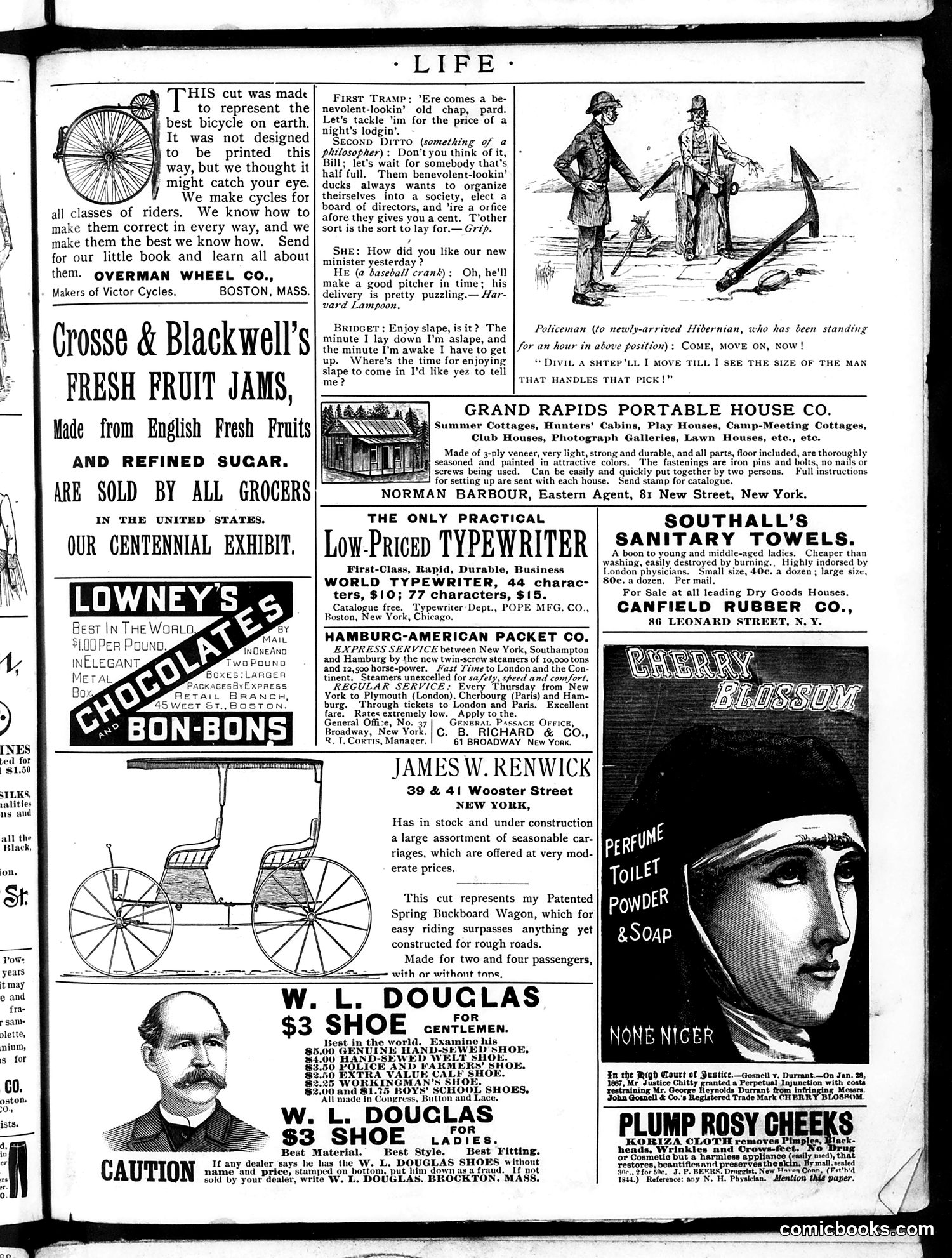 Life — June 13, 1889 — page 15 of 16