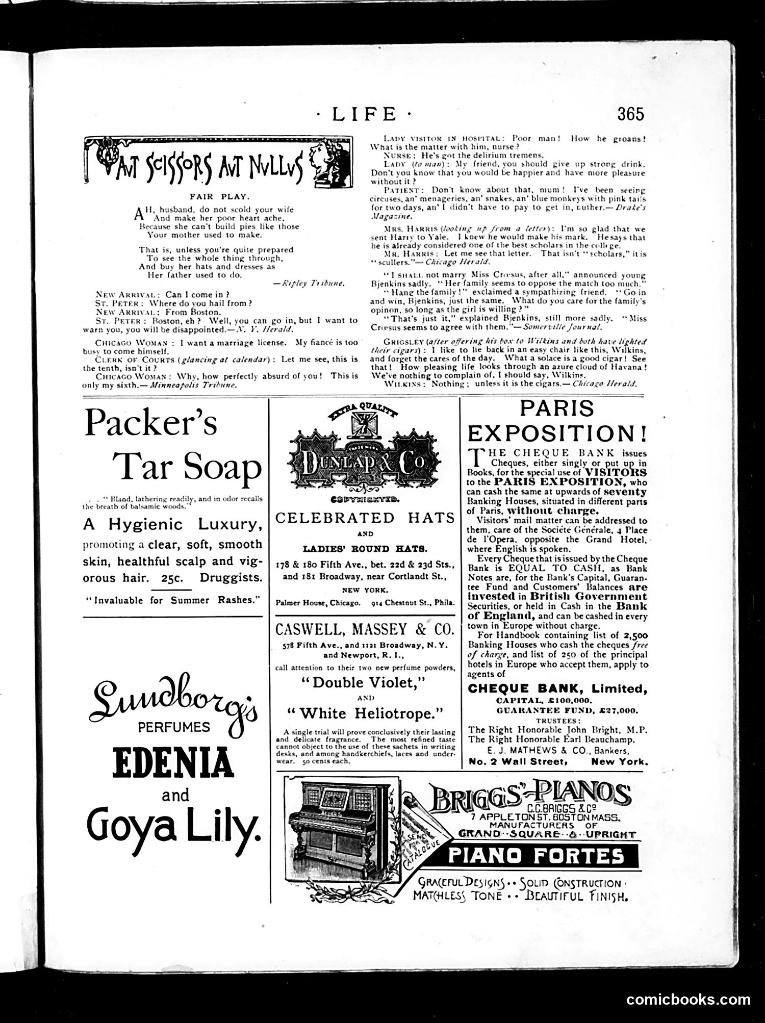Life — June 20, 1889 — page 13 of 18