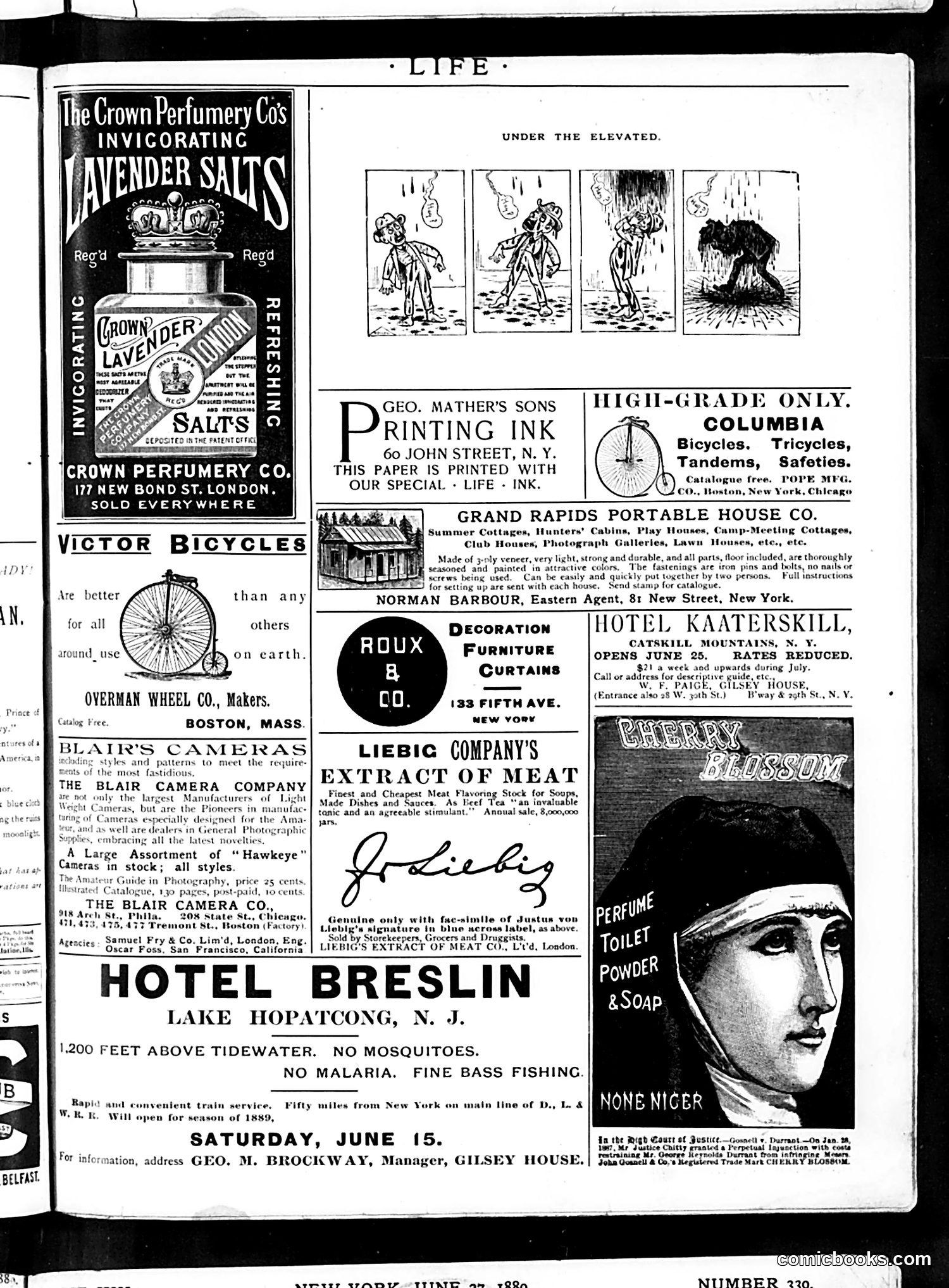 Life — June 20, 1889 — page 17 of 18