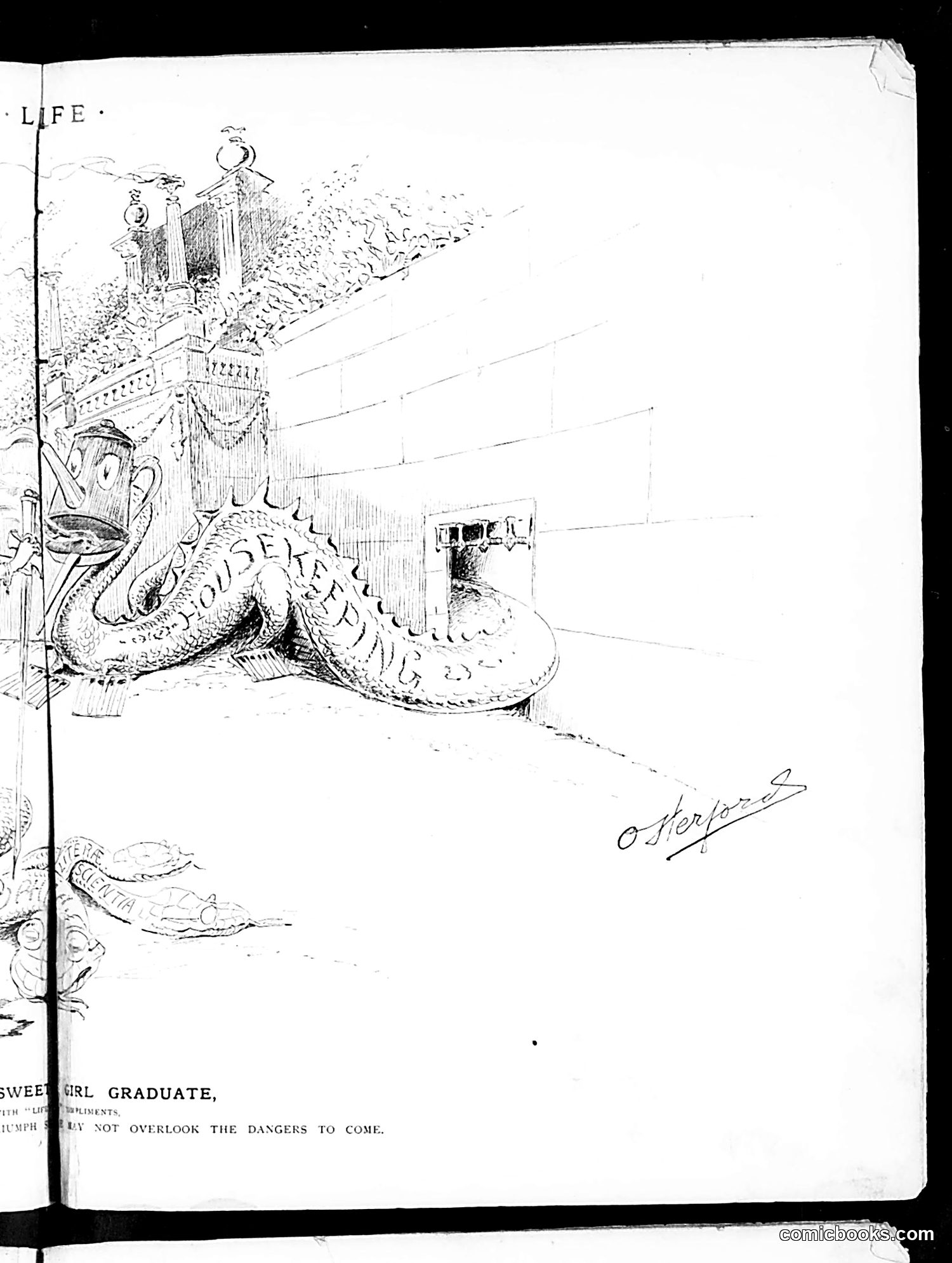 Life — June 27, 1889 — page 9 of 17