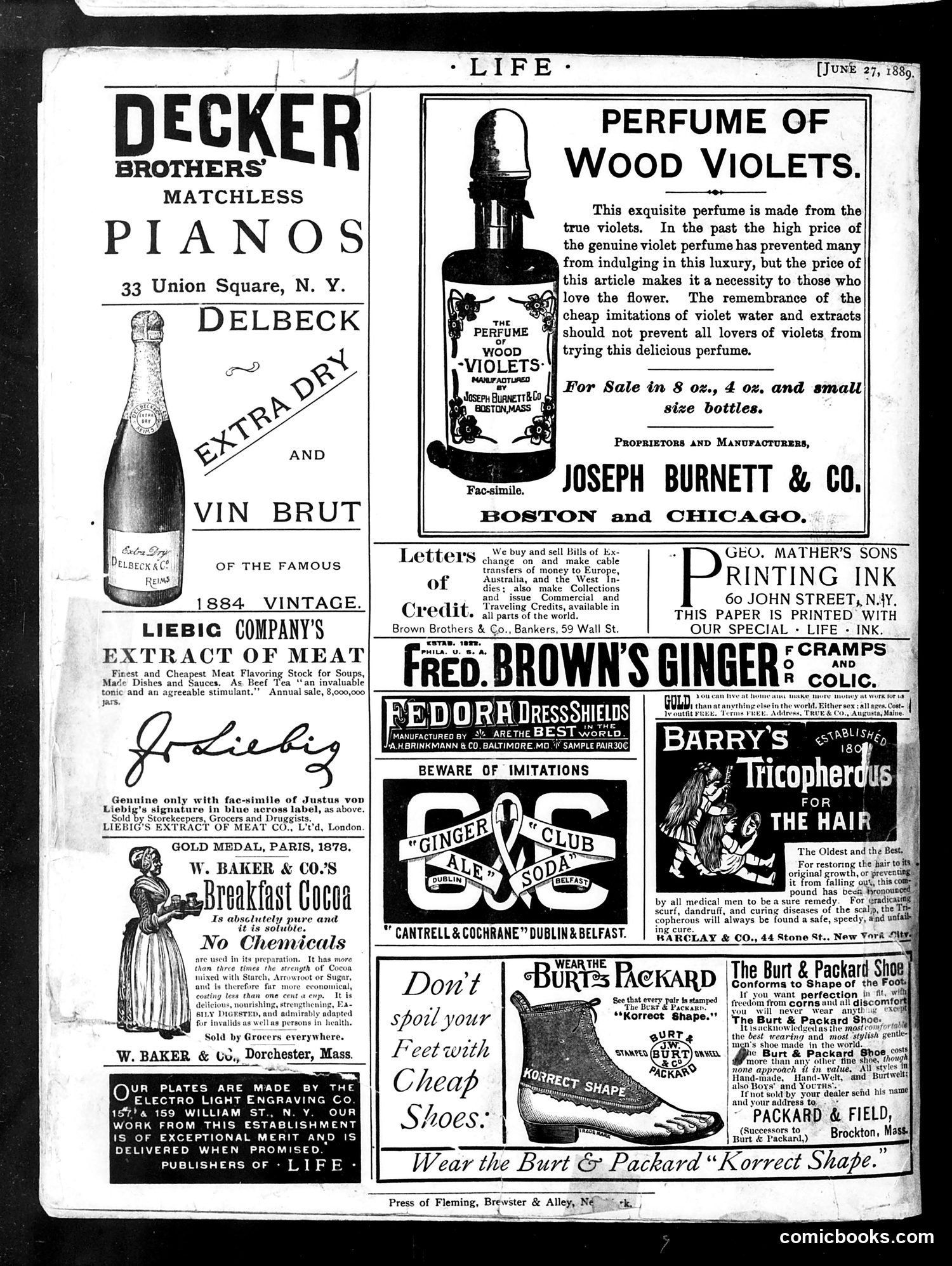 Life — June 27, 1889 — page 16 of 17
