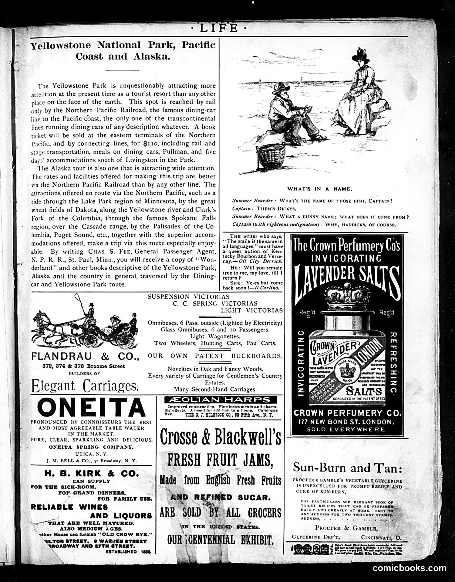 Life — July 4, 1889 — page 15 of 20