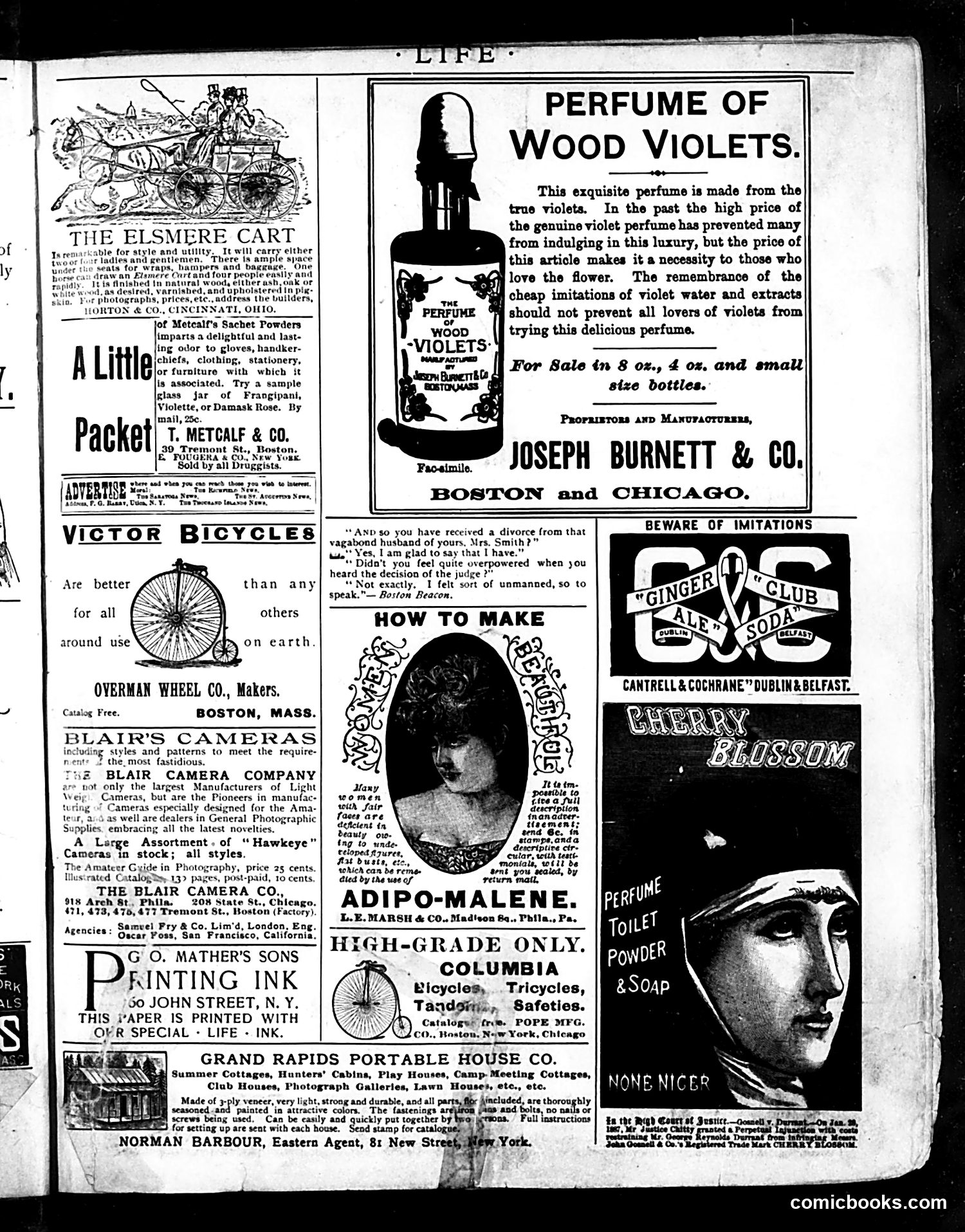 Life — July 4, 1889 — page 17 of 20