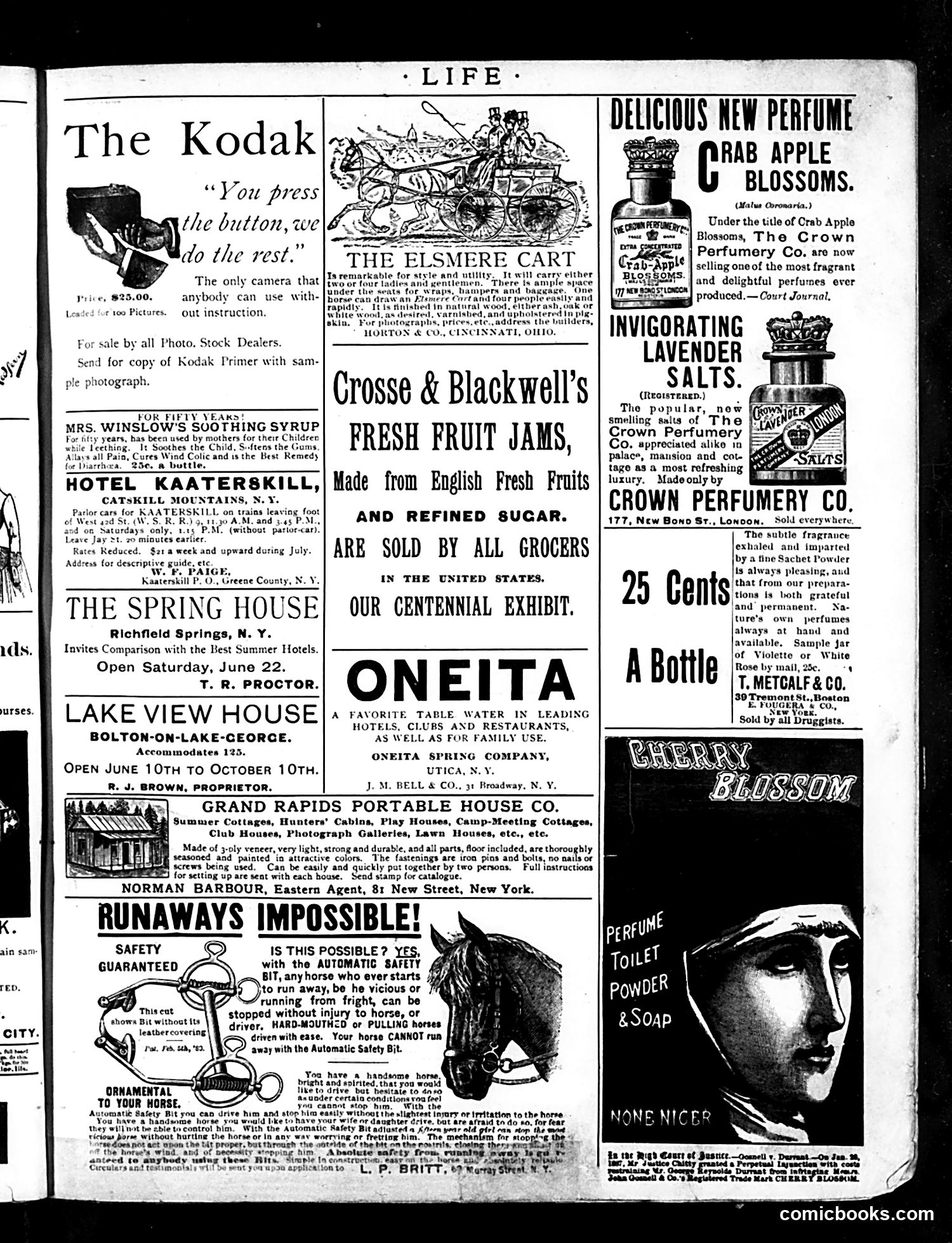 Life — July 18, 1889 — page 15 of 16