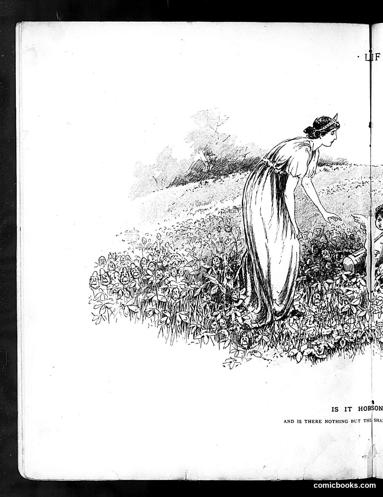 Life — August 1, 1889 — page 8 of 16