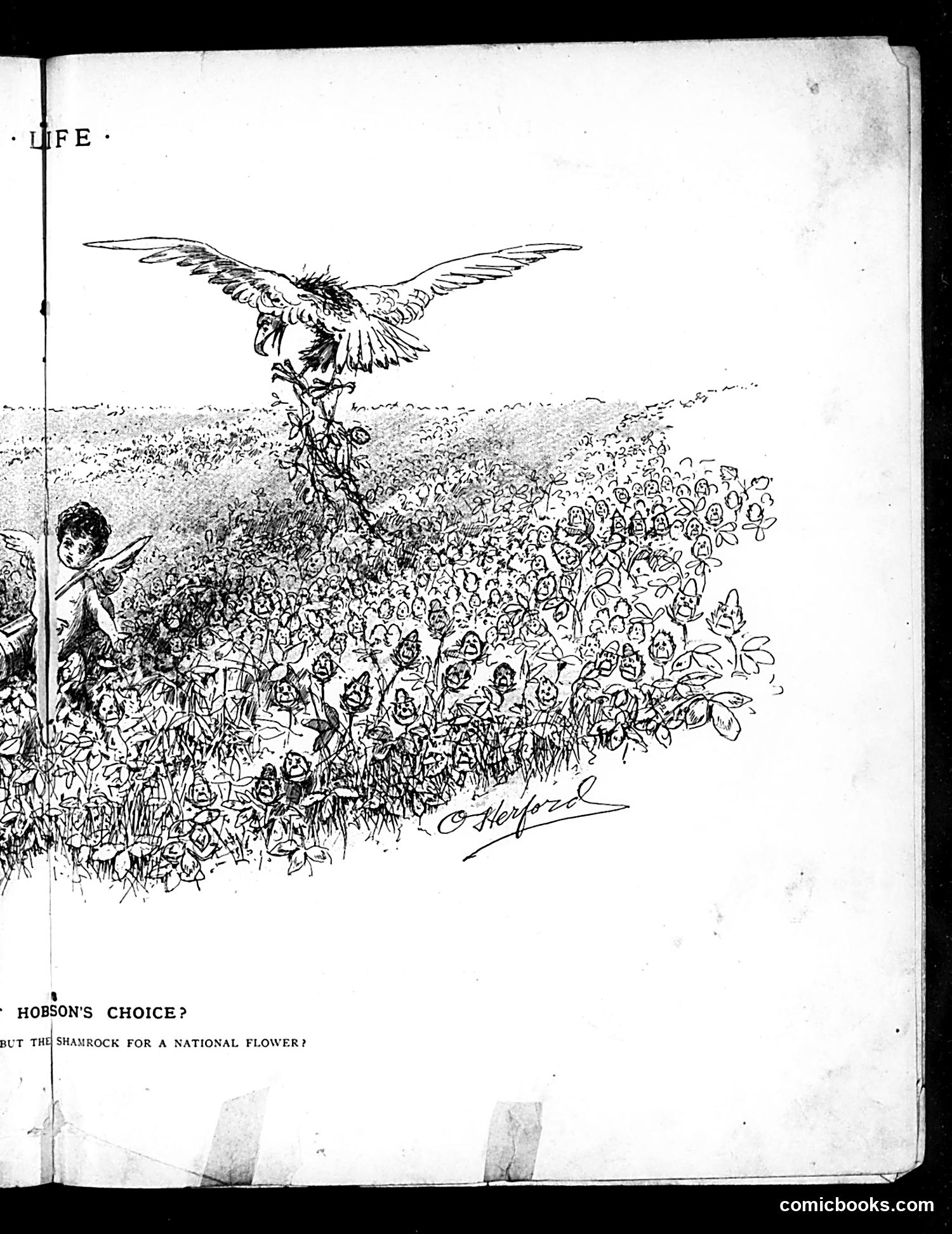 Life — August 1, 1889 — page 9 of 16