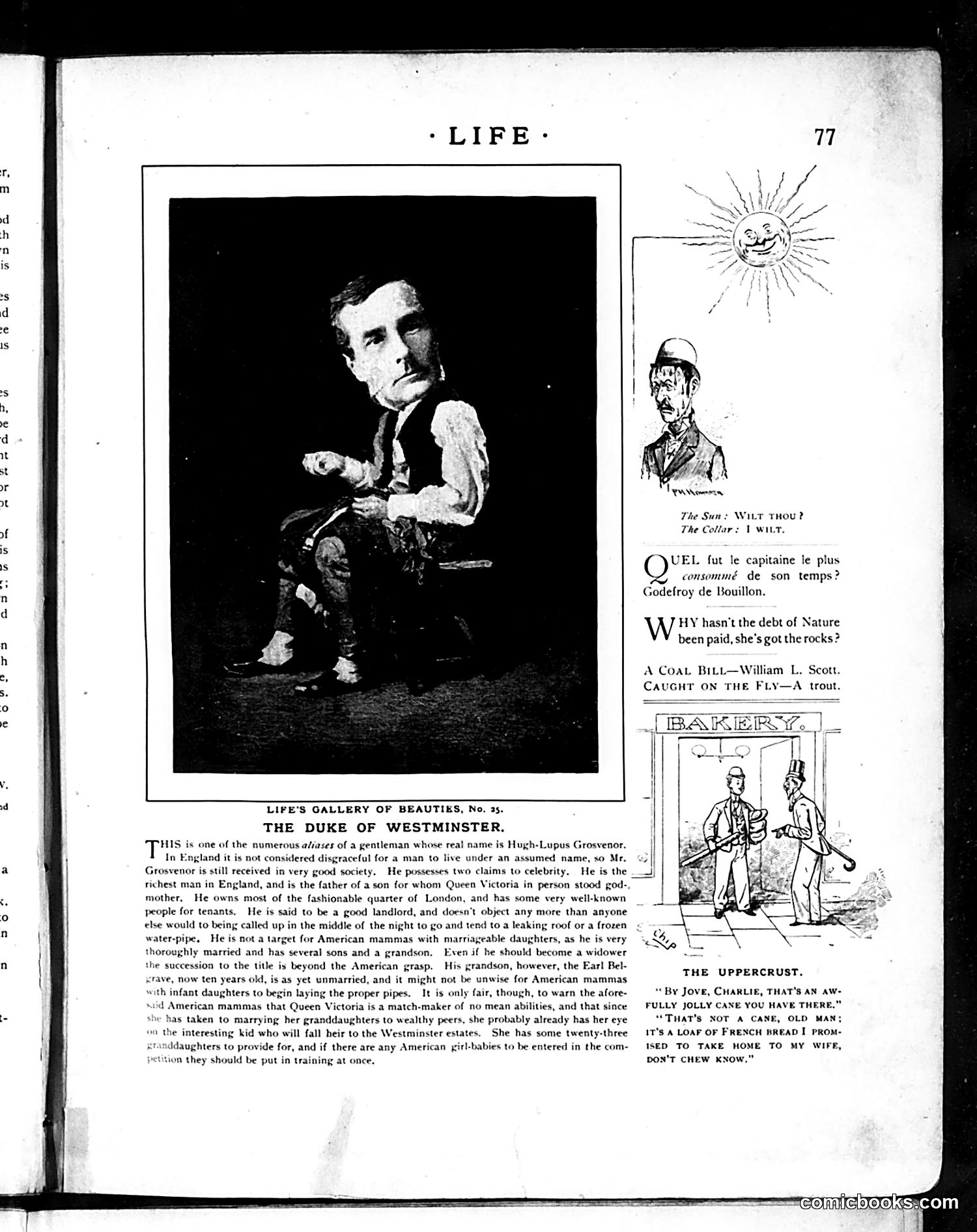 Life — August 8, 1889 — page 7 of 16