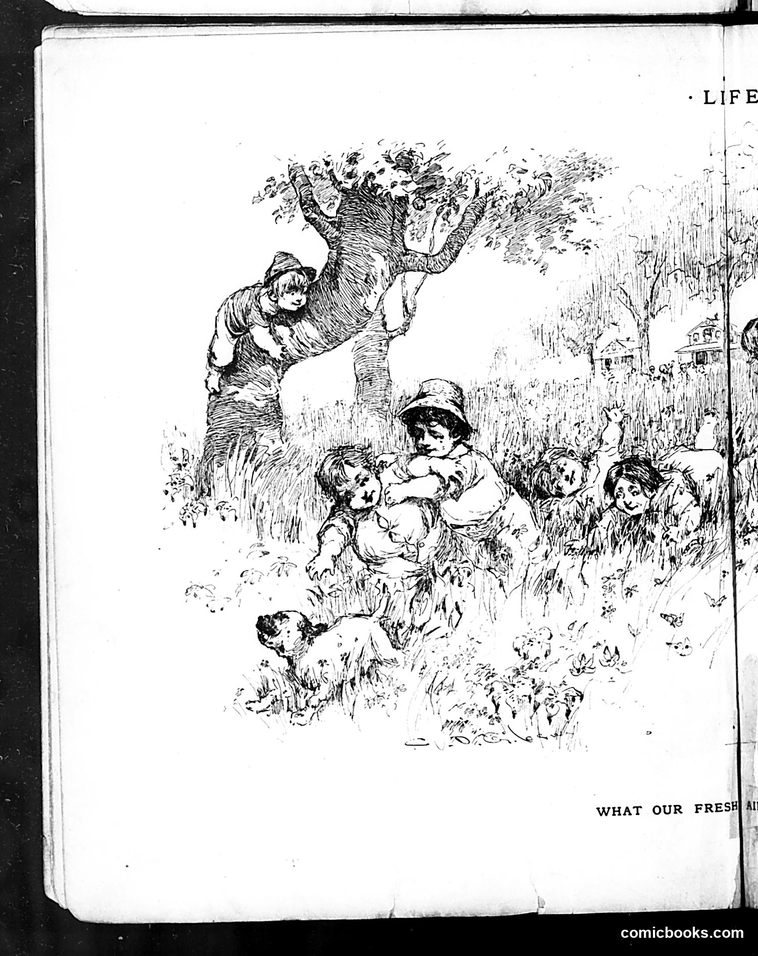 Life — August 8, 1889 — page 8 of 16