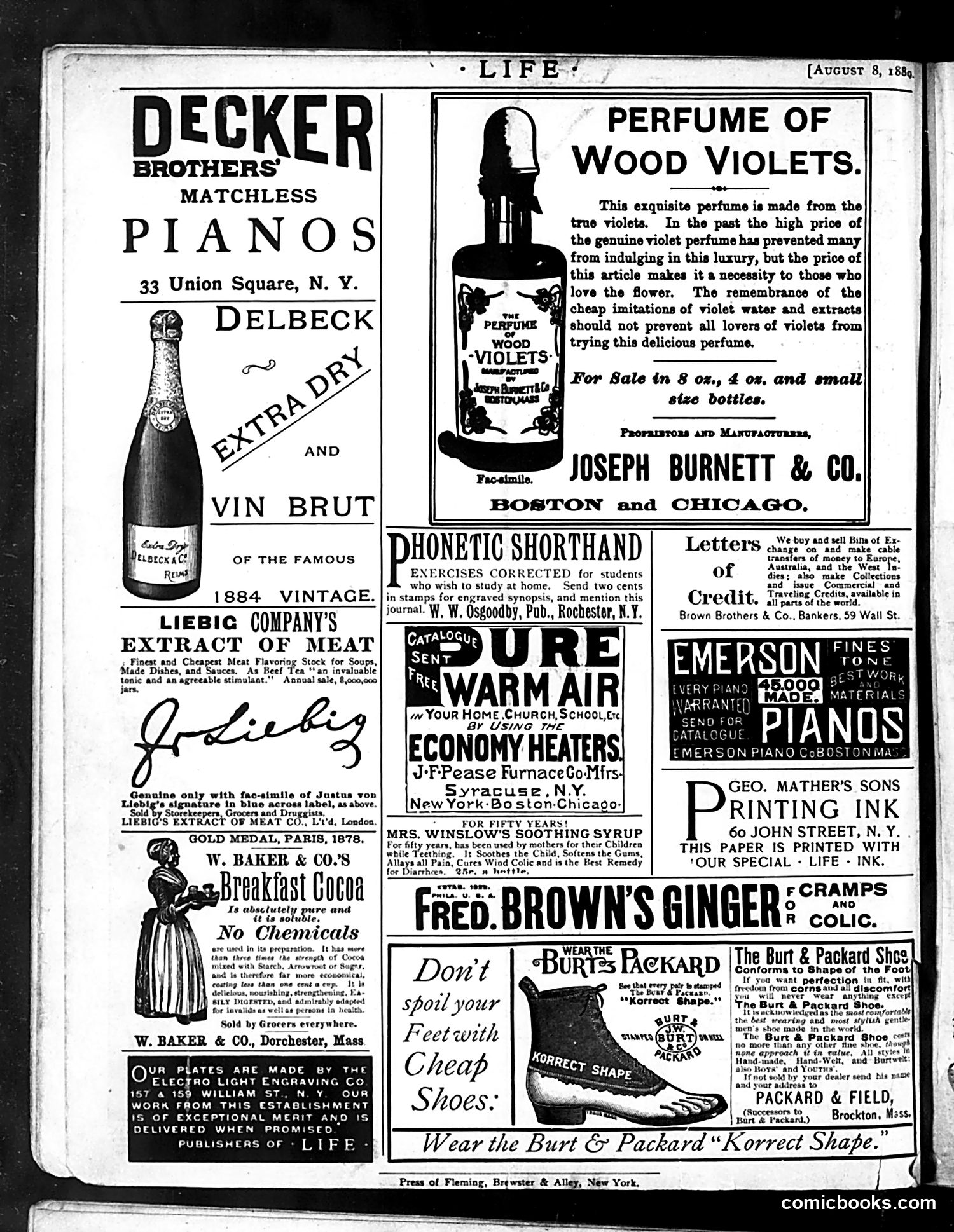 Life — August 8, 1889 — page 16 of 16