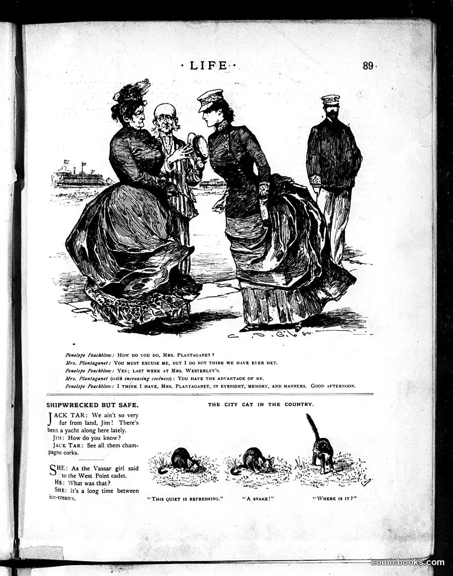 Life — August 15, 1889 — page 5 of 16