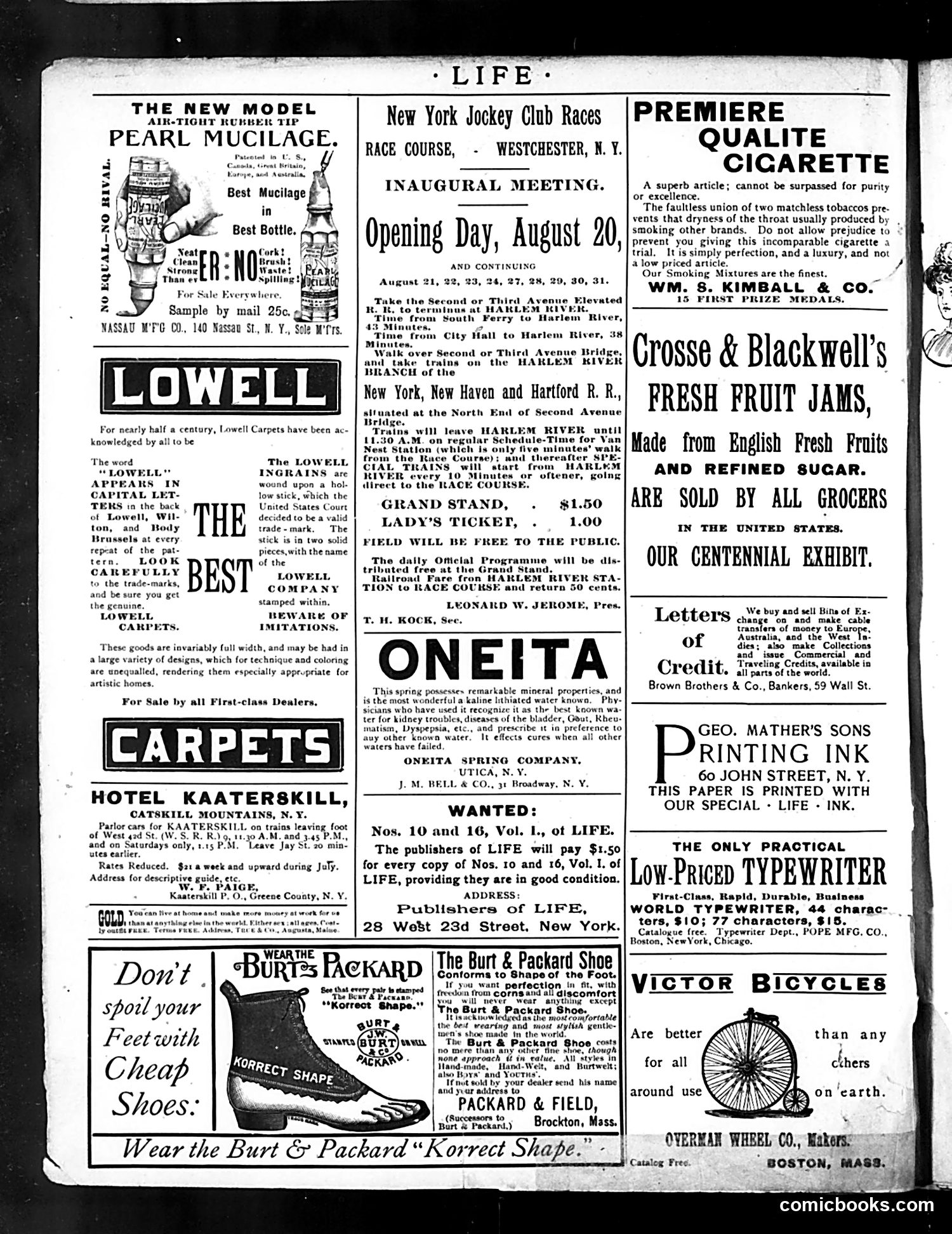 Life — August 22, 1889 — page 2 of 16
