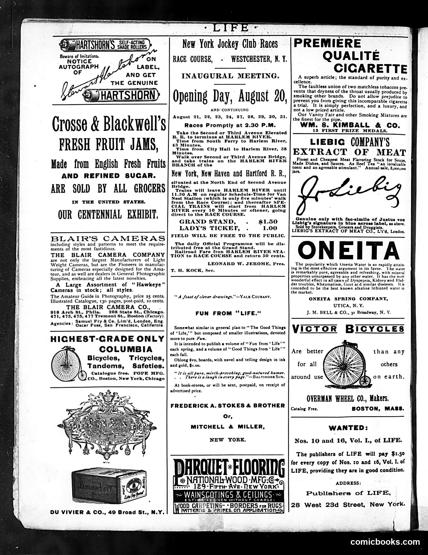 Life — August 29, 1889 — page 2 of 16
