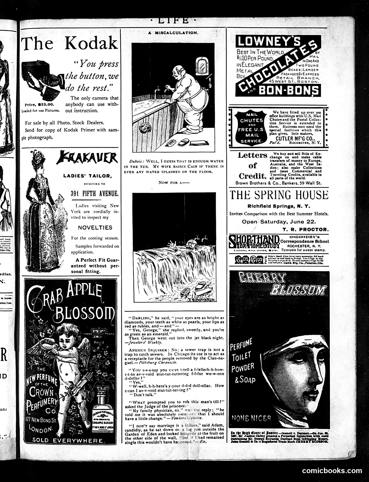 Life — August 29, 1889 — page 15 of 16