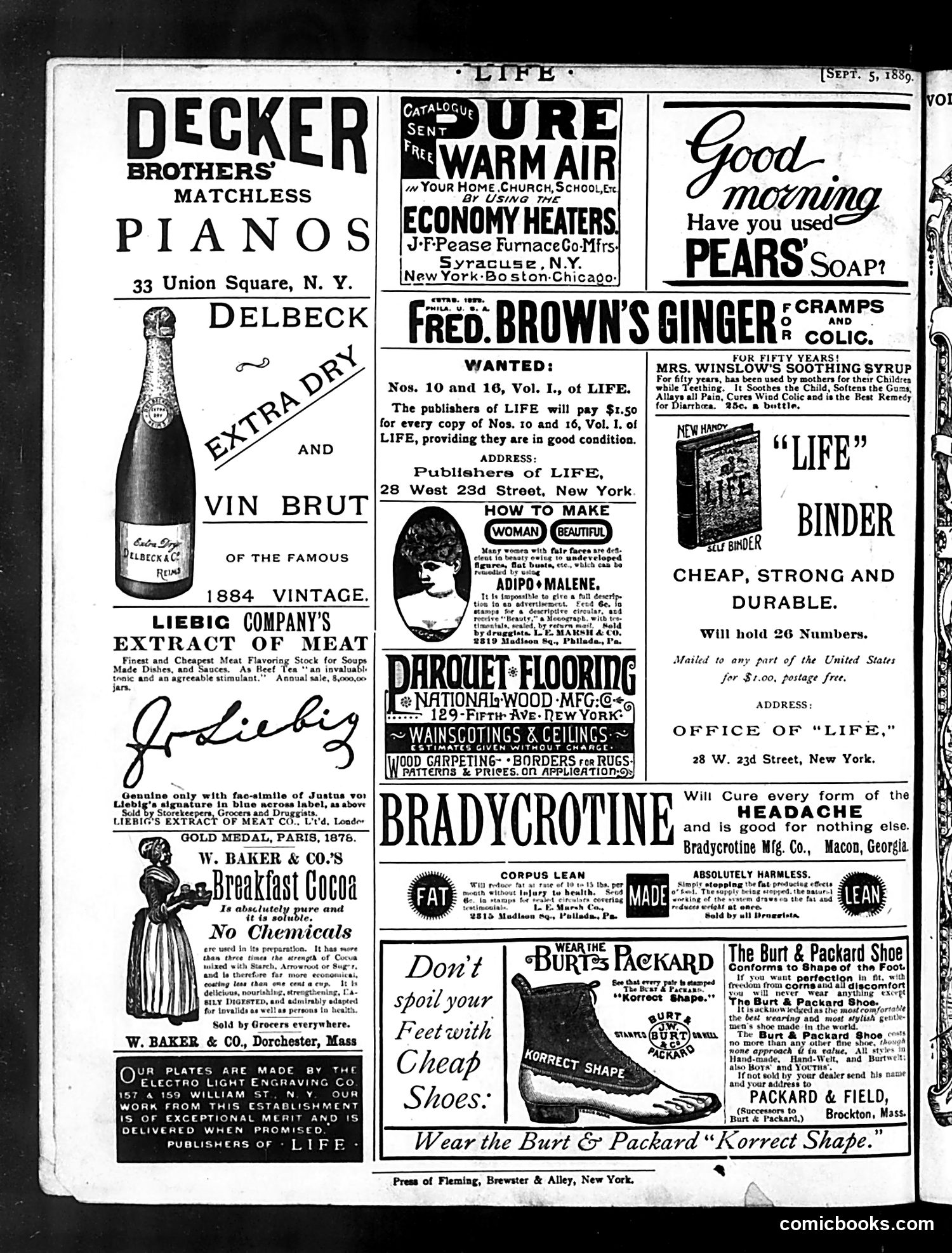 Life — September 5, 1889 — page 16 of 16