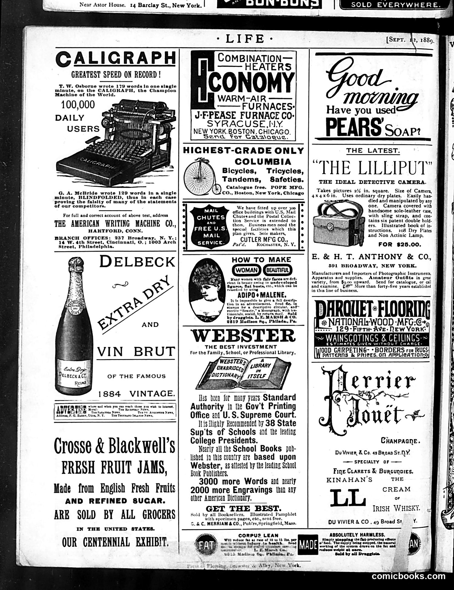 Life — September 12, 1889 — page 16 of 16