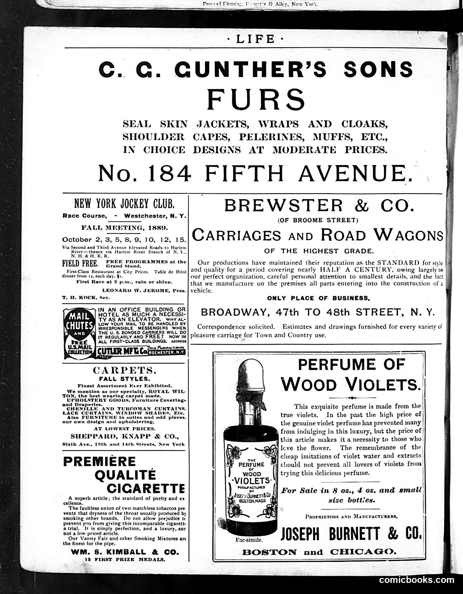 Life — October 10, 1889 — page 2 of 18