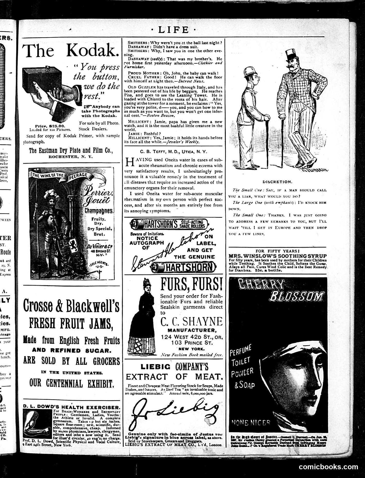 Life — October 10, 1889 — page 17 of 18