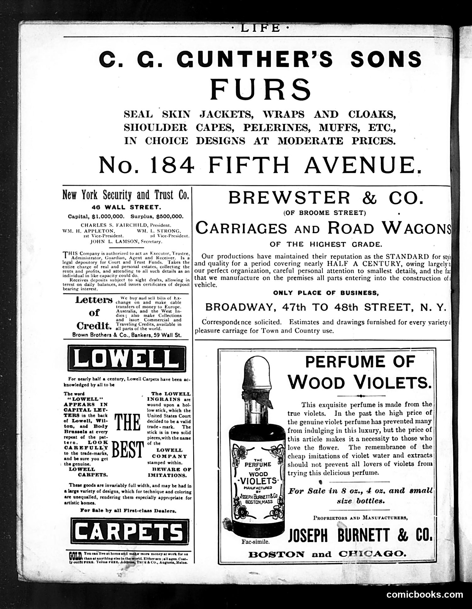 Life — October 17, 1889 — page 2 of 18