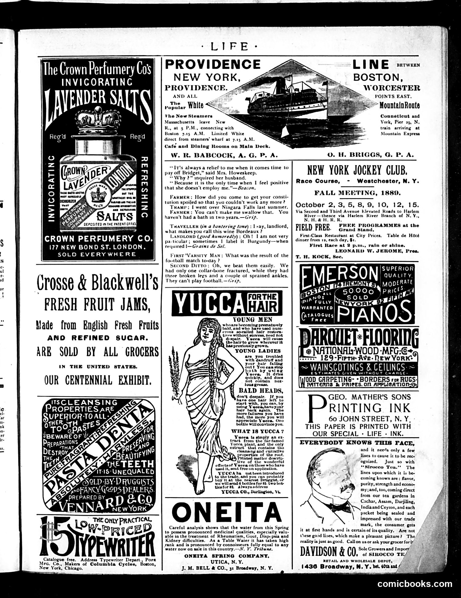 Life — October 17, 1889 — page 17 of 18