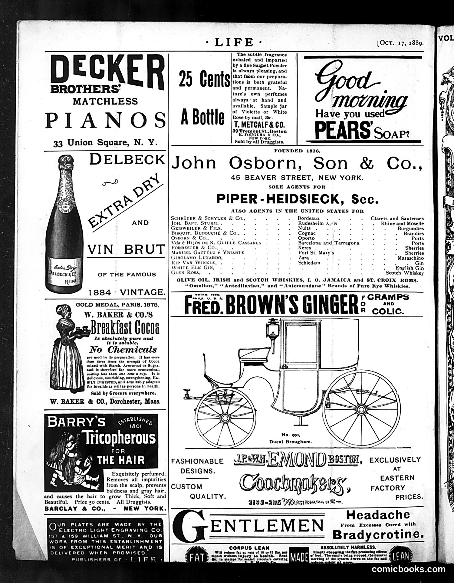 Life — October 17, 1889 — page 18 of 18