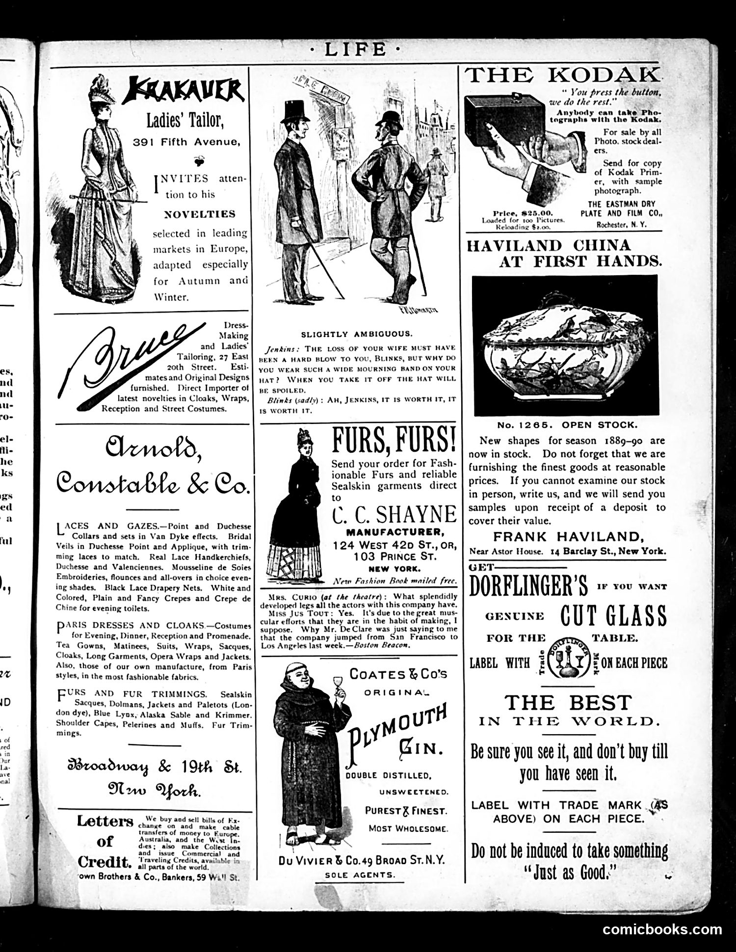 Life — October 24, 1889 — page 15 of 18