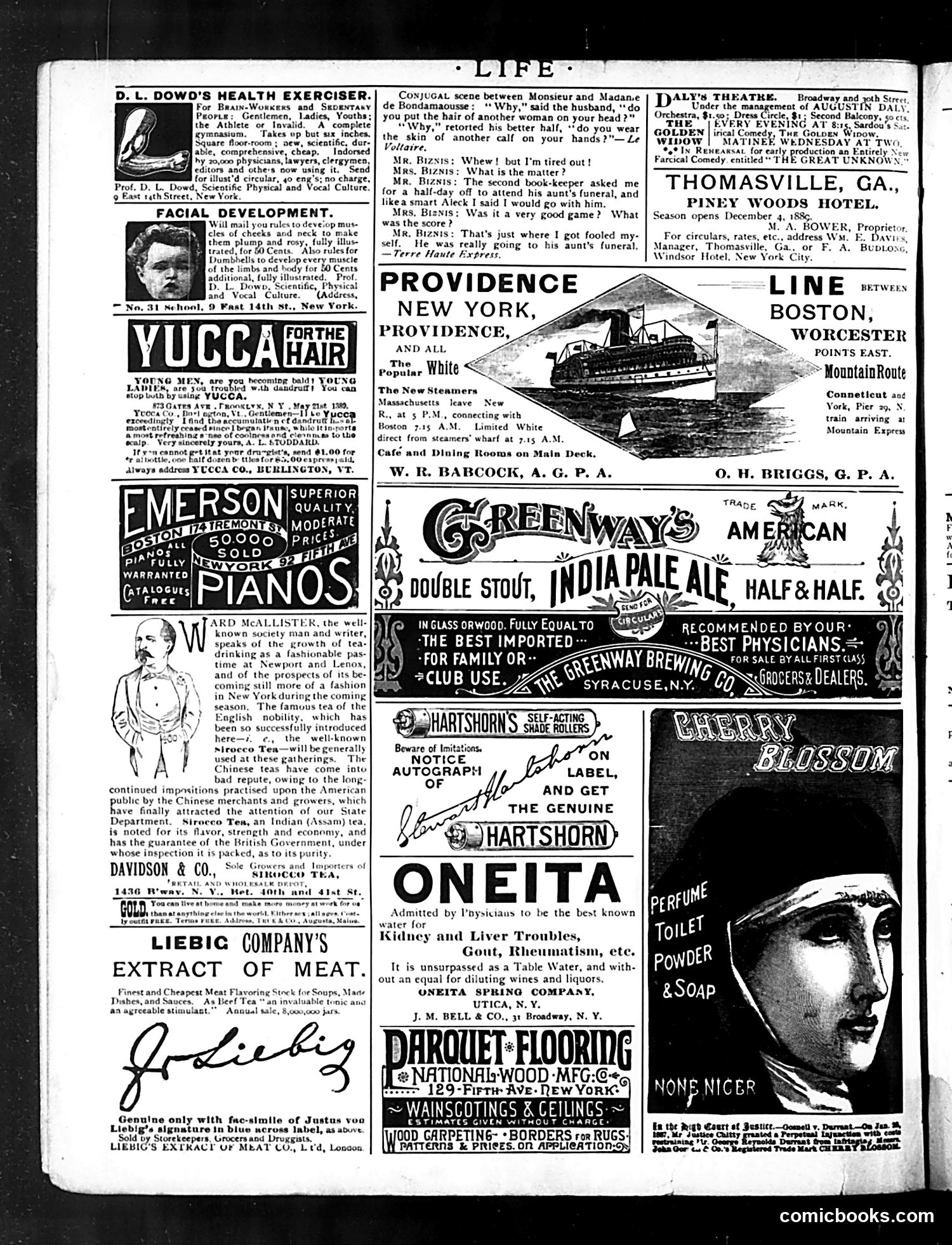 Life — October 24, 1889 — page 16 of 18