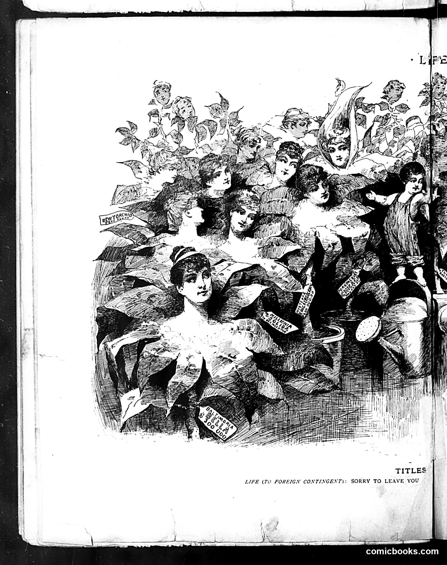 Life — October 31, 1889 — page 8 of 18