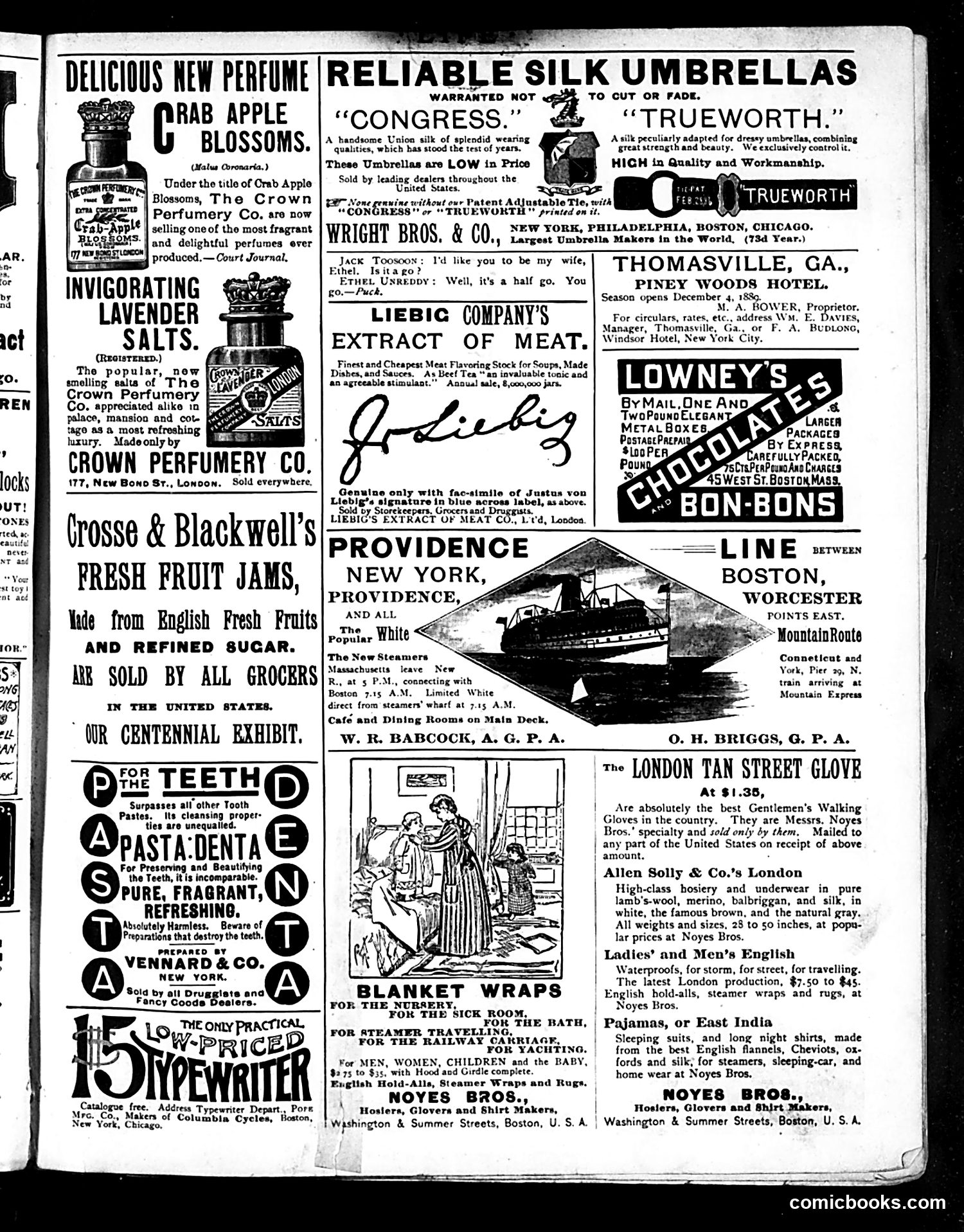 Life — October 31, 1889 — page 17 of 18