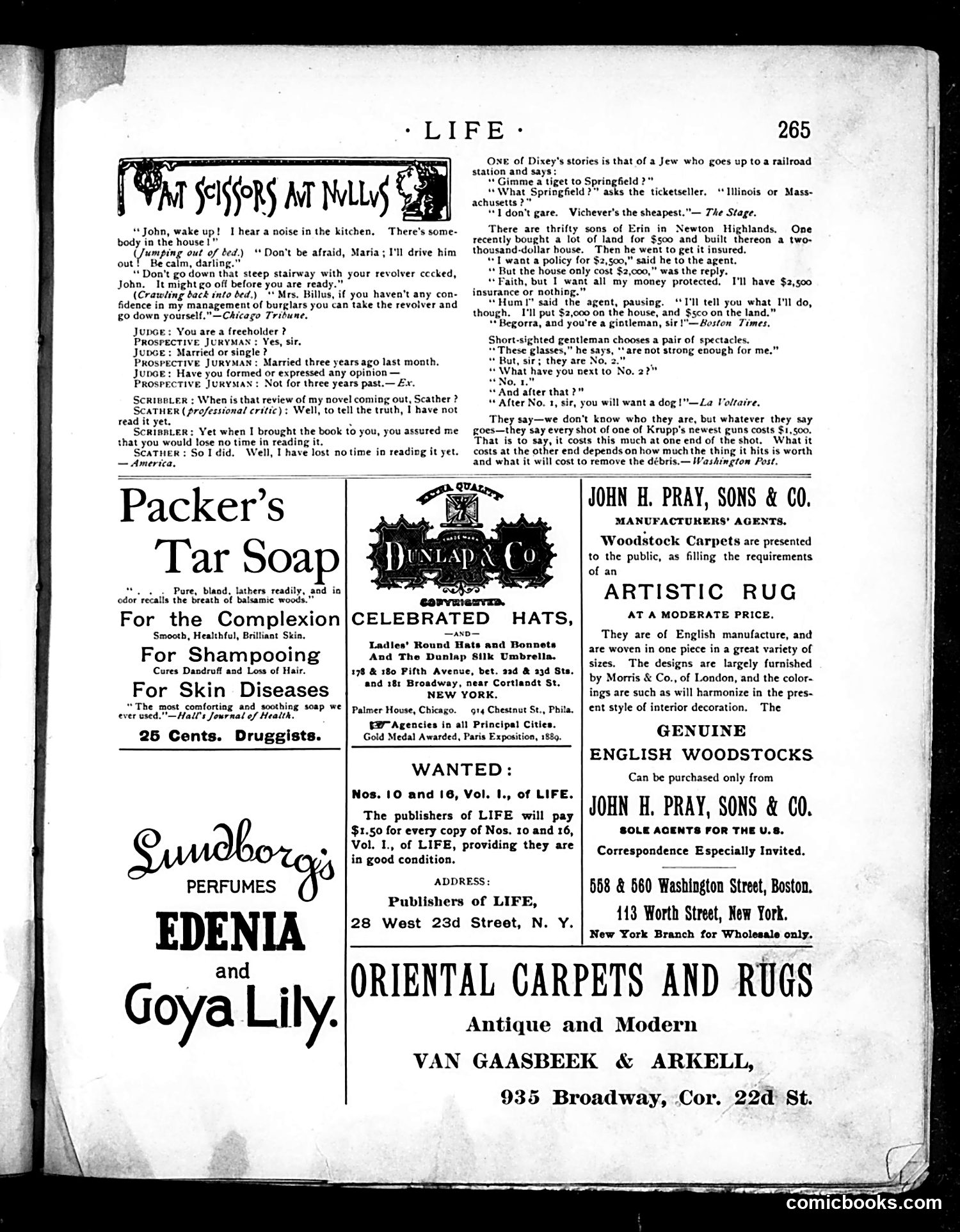 Life — November 7, 1889 — page 13 of 16