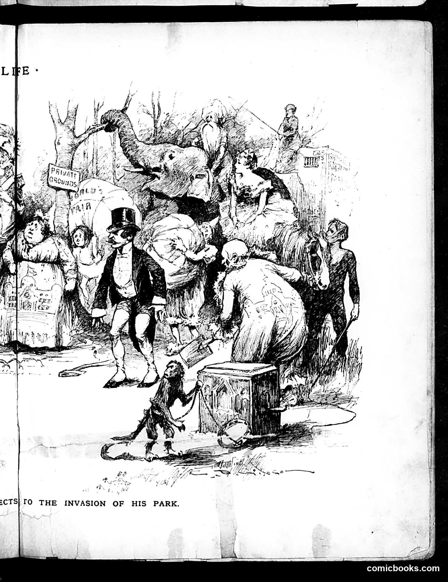 Life — November 14, 1889 — page 9 of 16