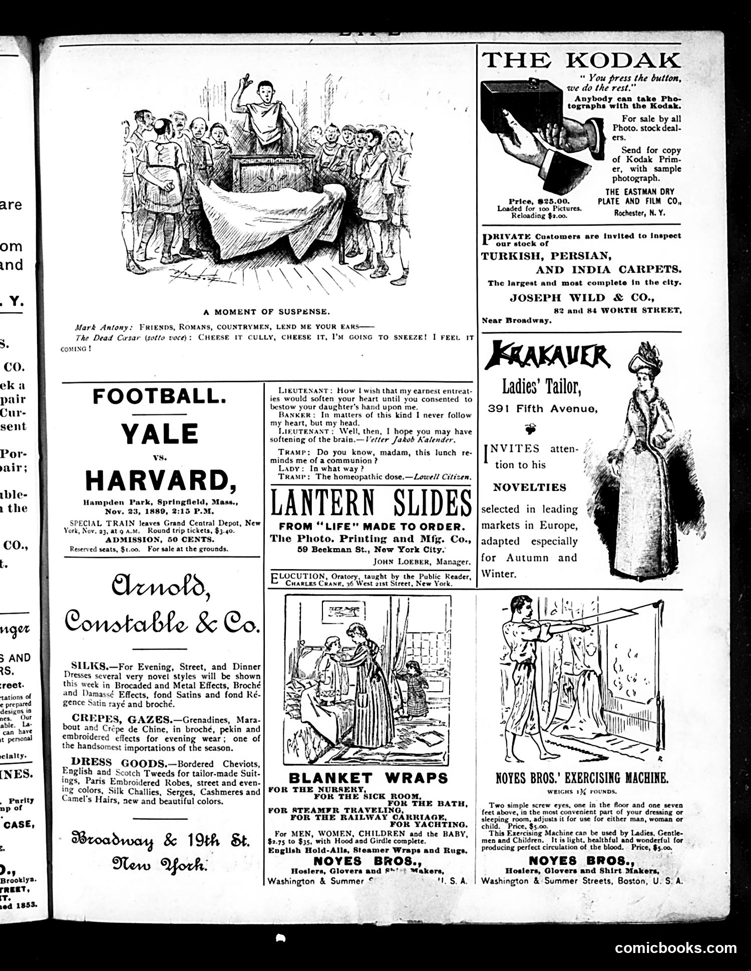Life — November 21, 1889 — page 17 of 20