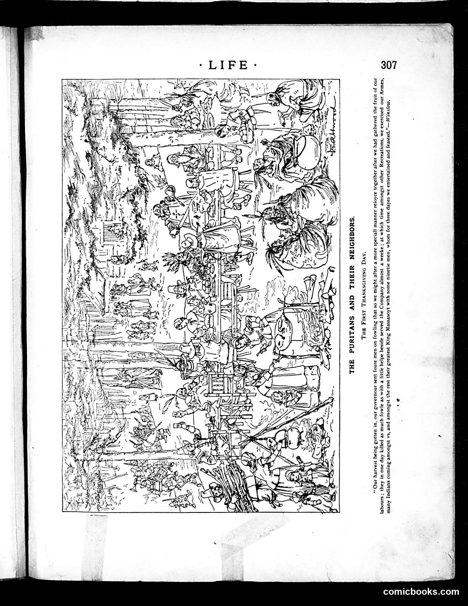 Life — November 28, 1889 — page 11 of 18
