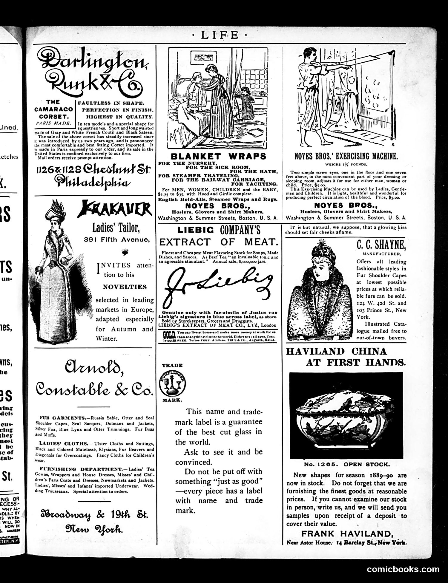 Life — November 28, 1889 — page 15 of 18