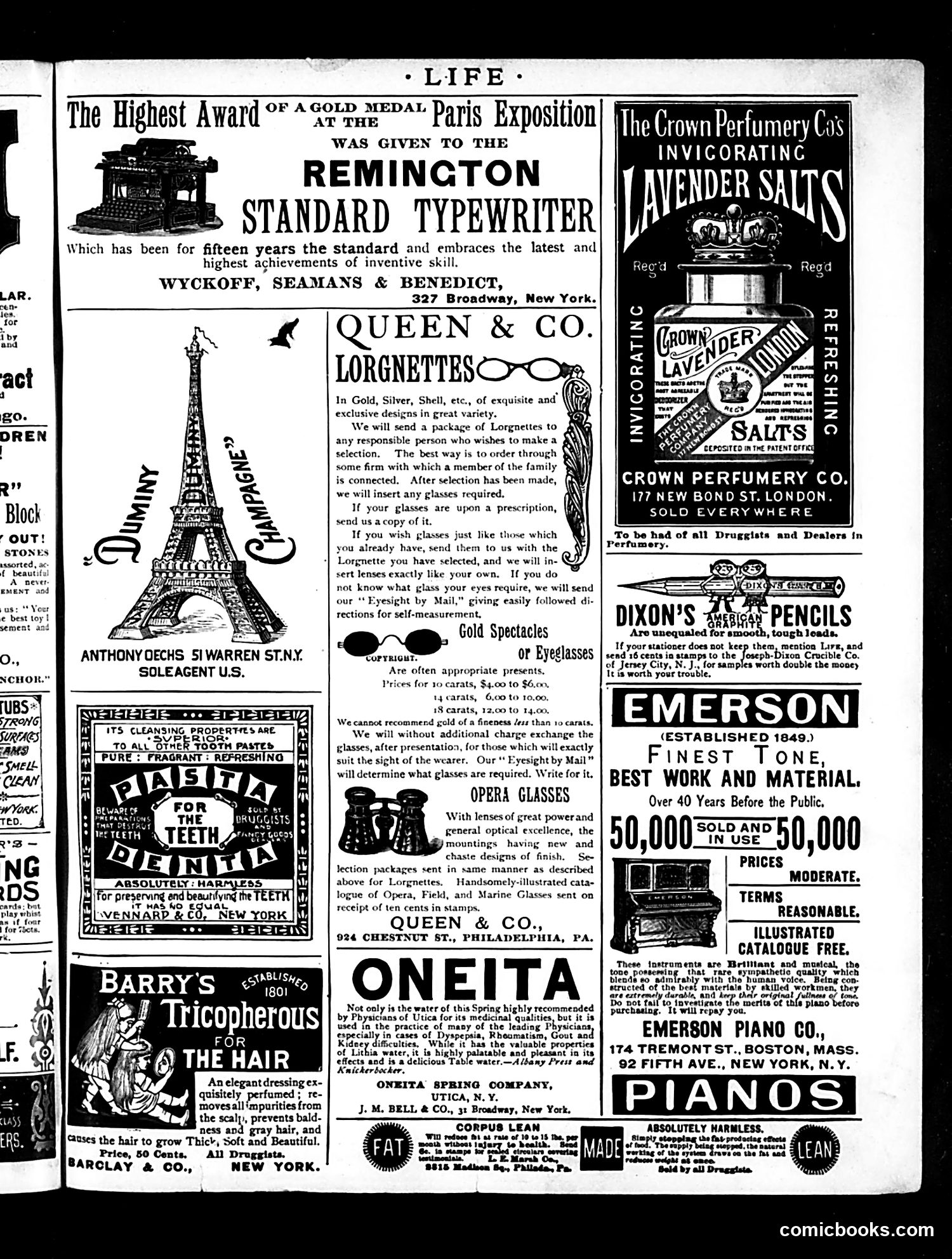 Life — November 28, 1889 — page 17 of 18