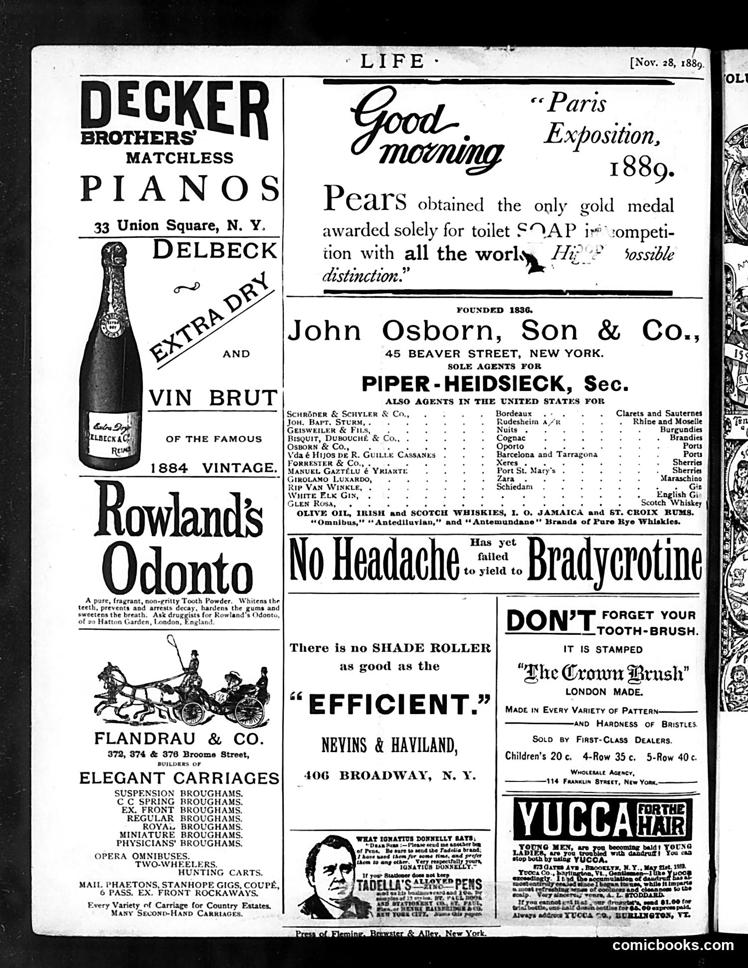 Life — November 28, 1889 — page 18 of 18