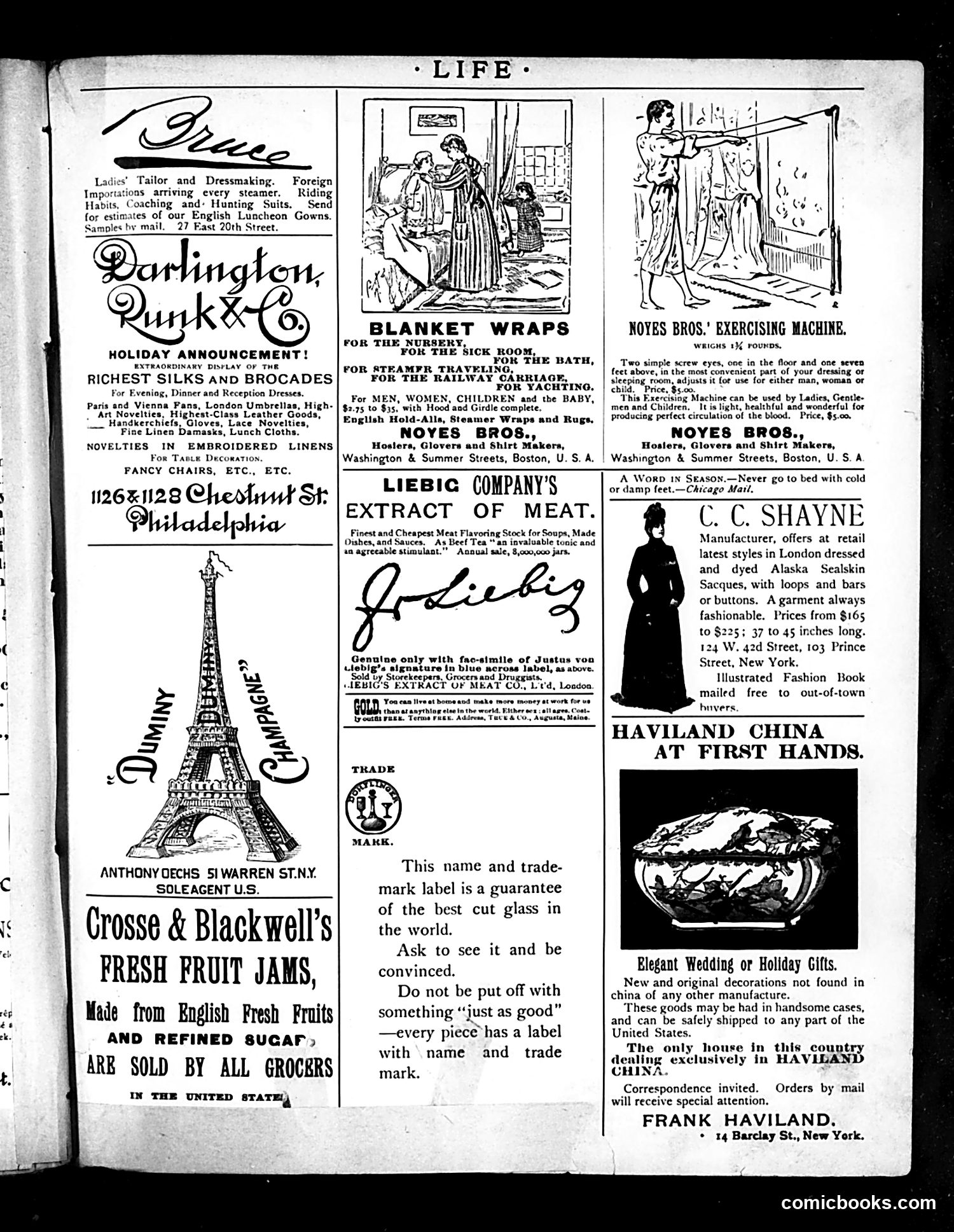 Life — December 12, 1889 — page 15 of 16