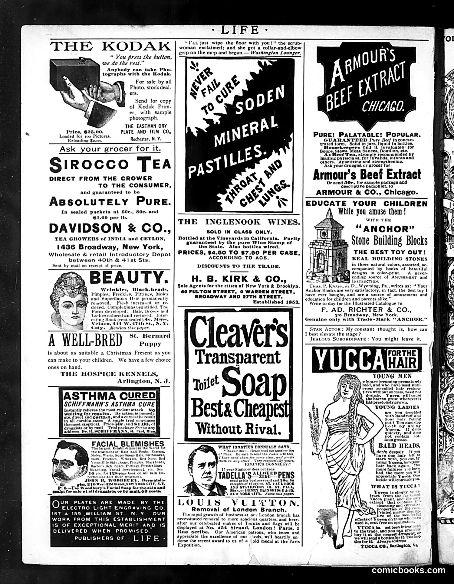 Life — December 12, 1889 — page 16 of 16