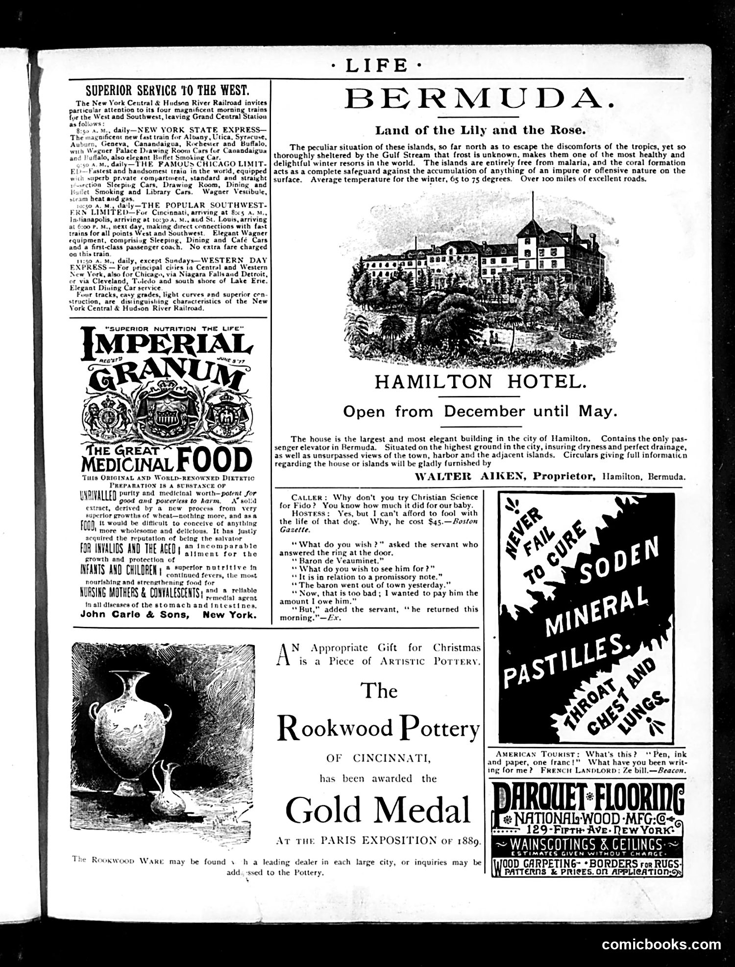 Life — December 26, 1889 — page 15 of 55