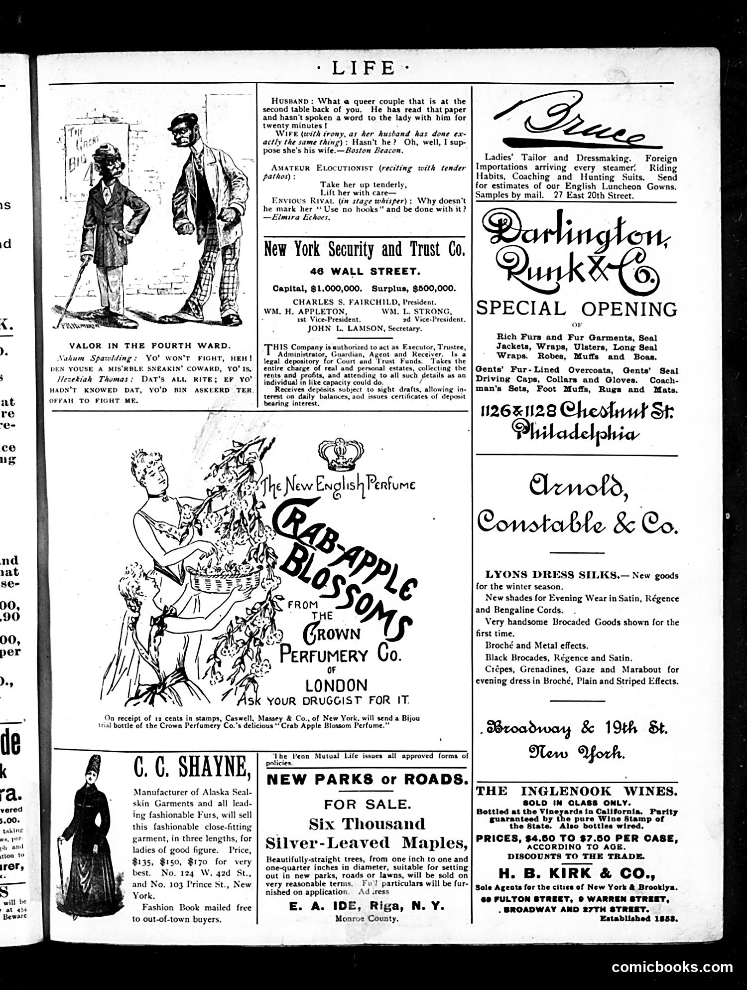 Life — December 26, 1889 — page 17 of 55