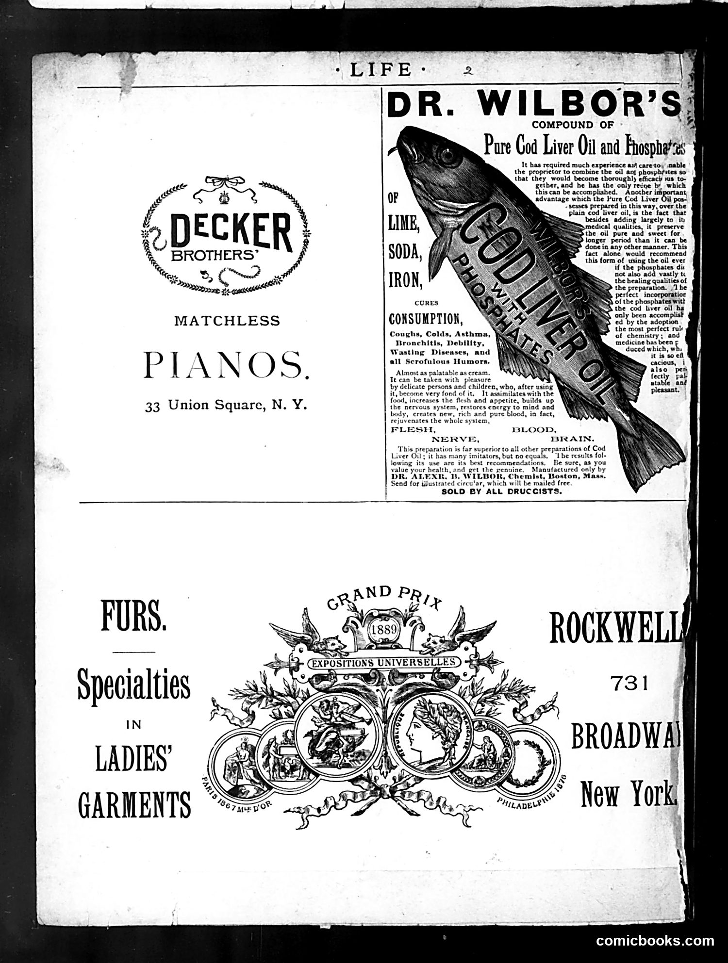 Life — December 26, 1889 — page 54 of 55