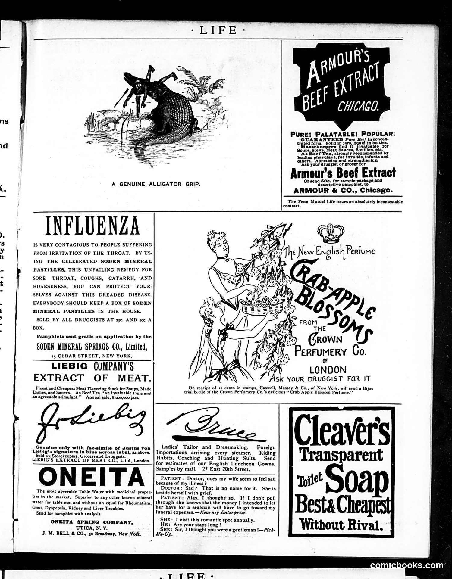 Life — January 9, 1890 — page 15 of 18